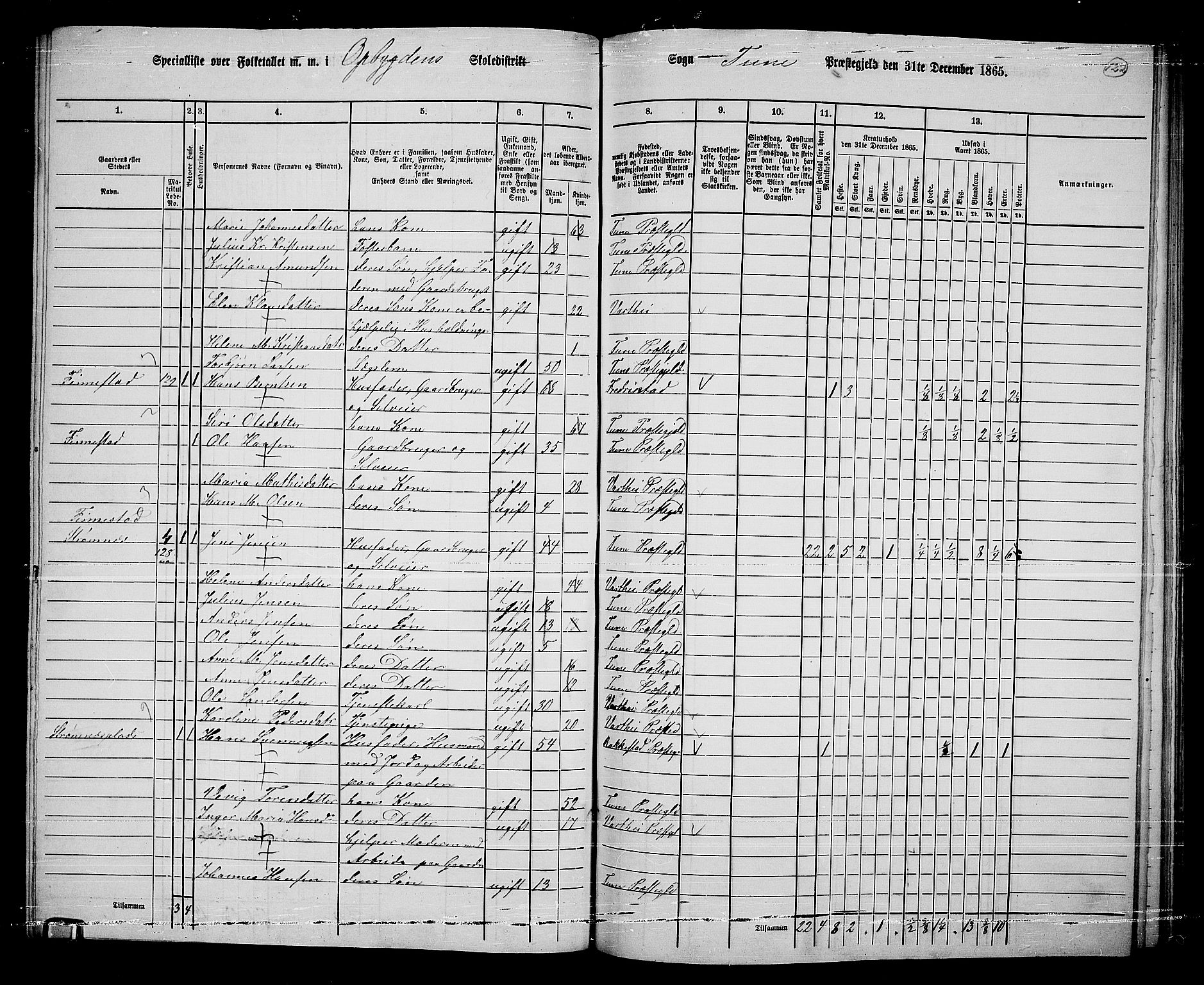 RA, 1865 census for Tune, 1865, p. 204