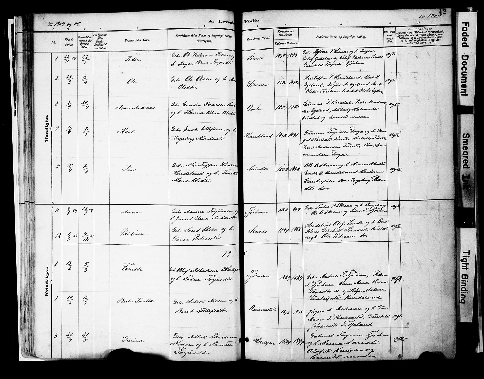 Sirdal sokneprestkontor, SAK/1111-0036/F/Fa/Faa/L0001: Parish register (official) no. A 1, 1887-1910, p. 42