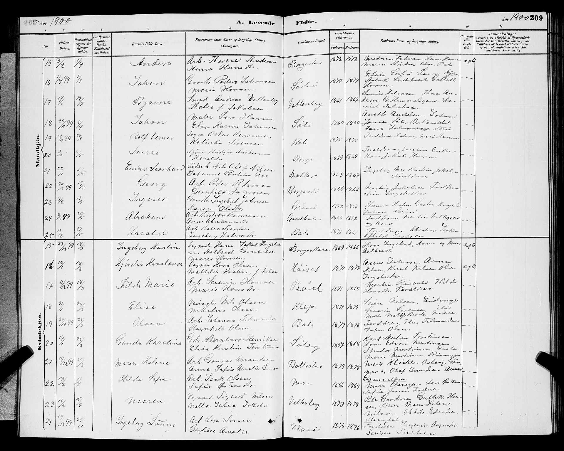 Gjerpen kirkebøker, AV/SAKO-A-265/G/Ga/L0002: Parish register (copy) no. I 2, 1883-1900, p. 209