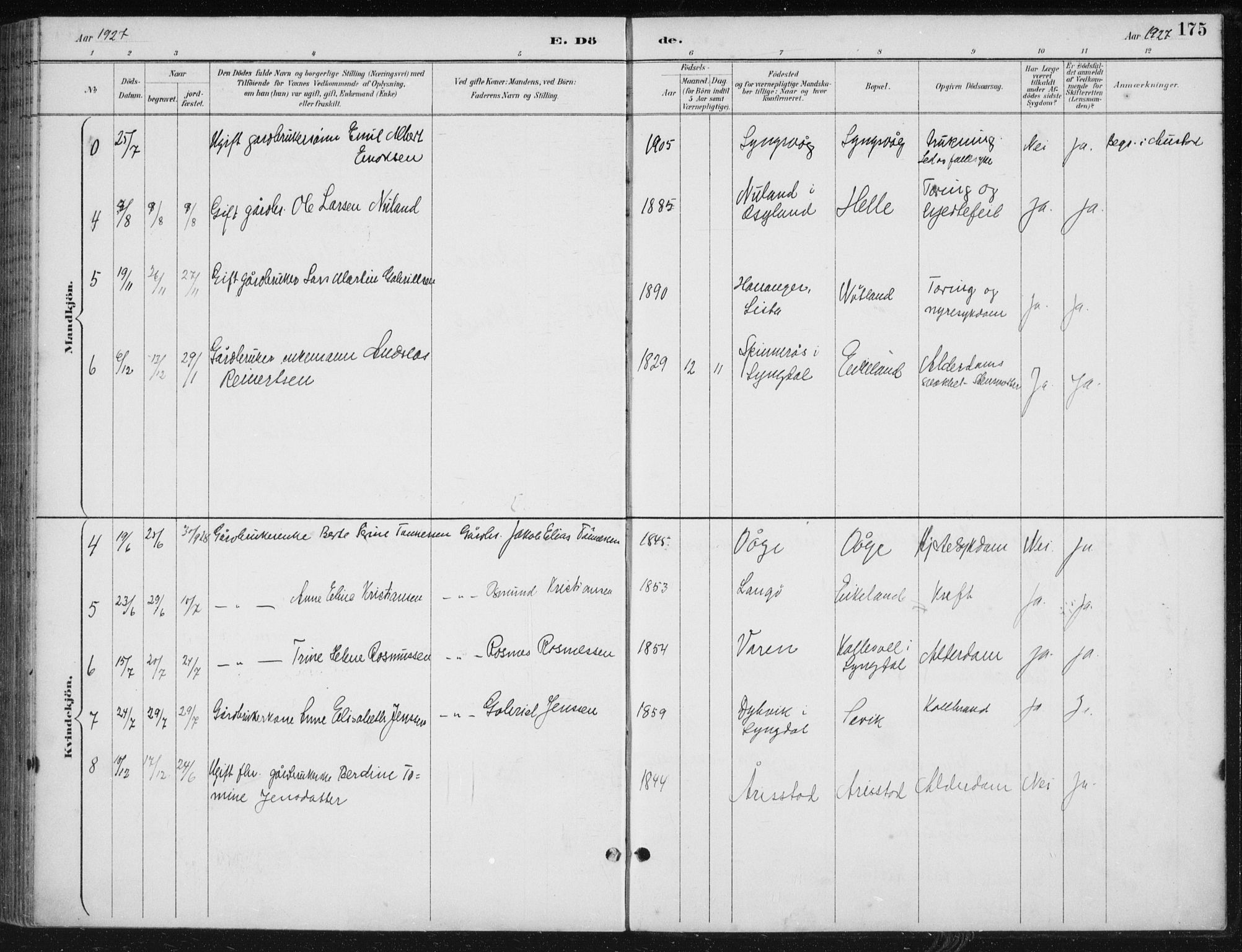 Herad sokneprestkontor, AV/SAK-1111-0018/F/Fb/Fbb/L0004: Parish register (copy) no. B 4, 1890-1935, p. 175