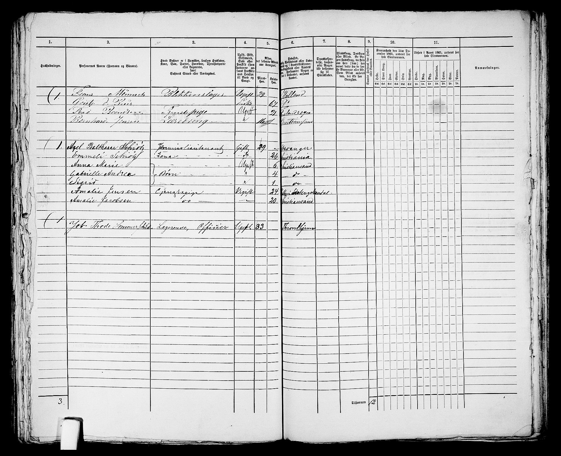 RA, 1865 census for Kristiansand, 1865, p. 1478