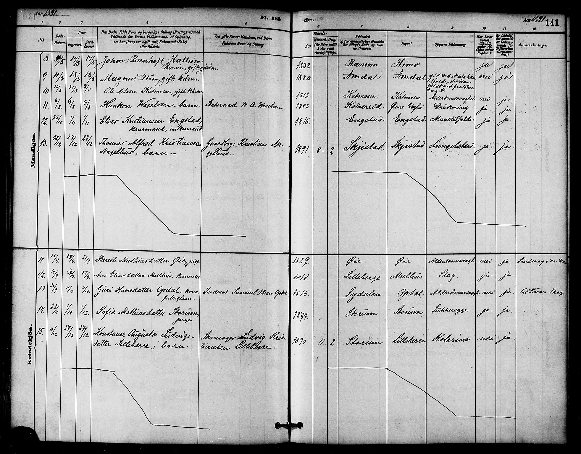 Ministerialprotokoller, klokkerbøker og fødselsregistre - Nord-Trøndelag, AV/SAT-A-1458/764/L0555: Parish register (official) no. 764A10, 1881-1896, p. 141