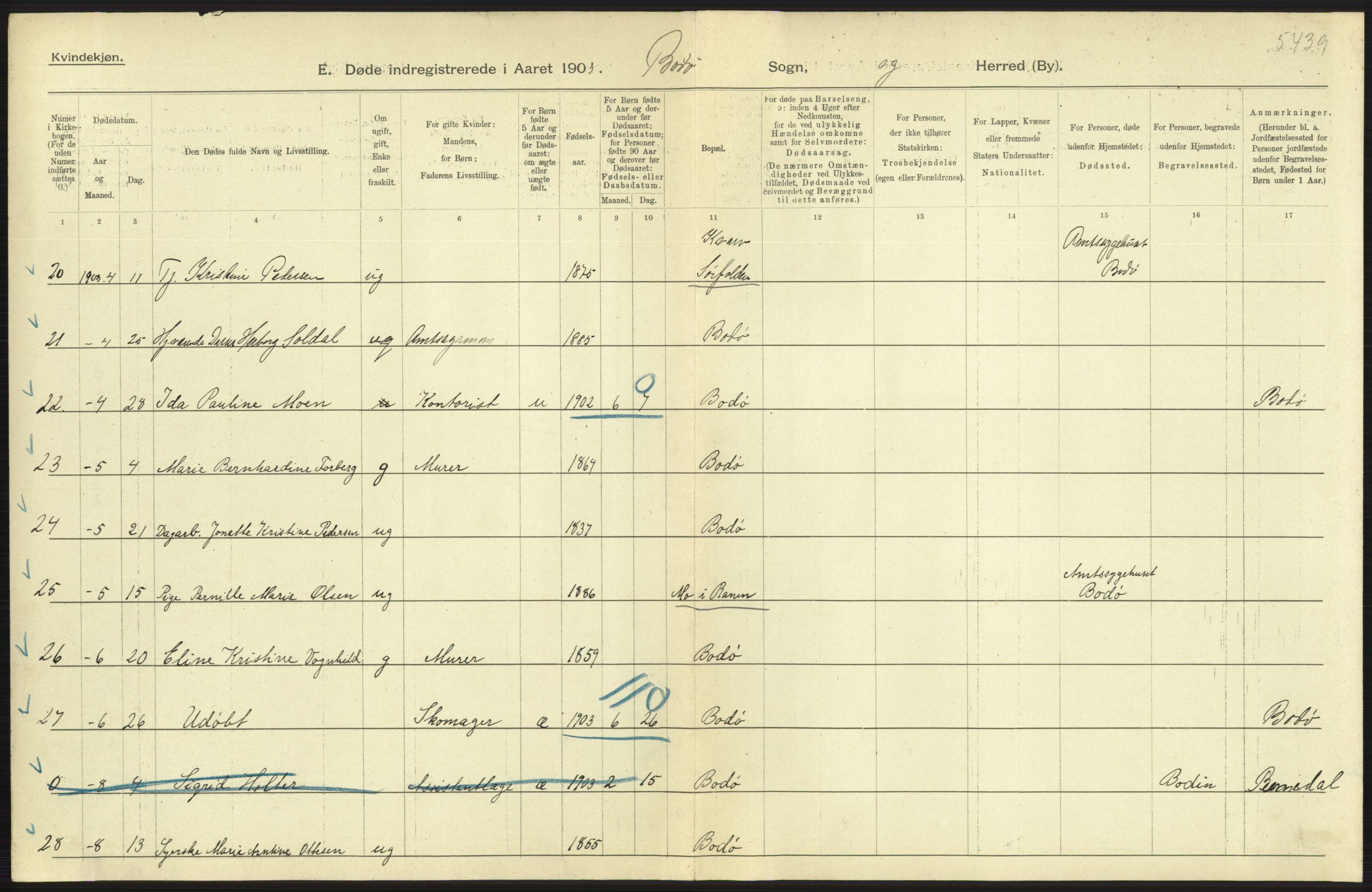 Statistisk sentralbyrå, Sosiodemografiske emner, Befolkning, AV/RA-S-2228/D/Df/Dfa/Dfaa/L0019: Nordlands amt: Fødte, gifte, døde., 1903, p. 547