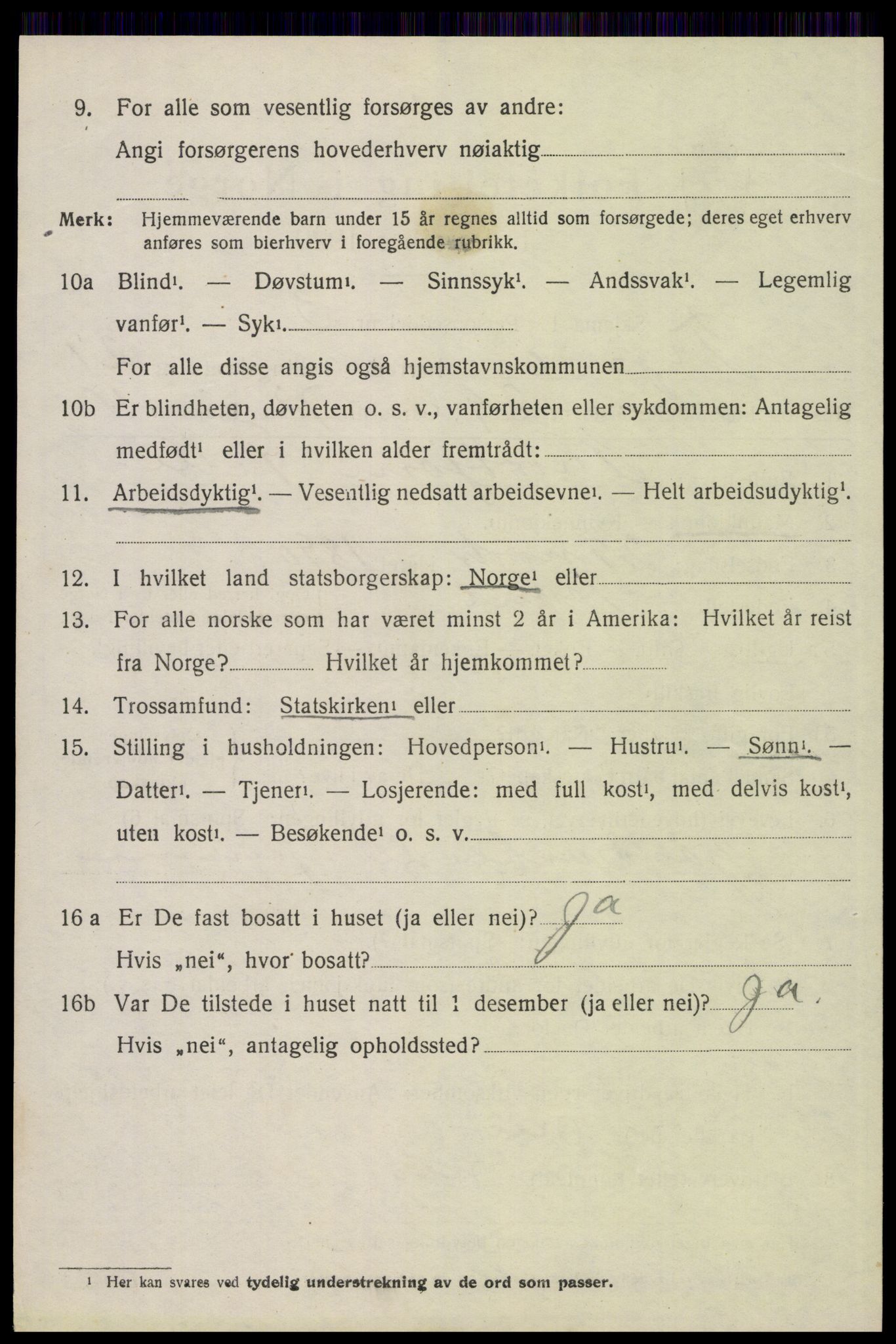 SAH, 1920 census for Trysil, 1920, p. 14116