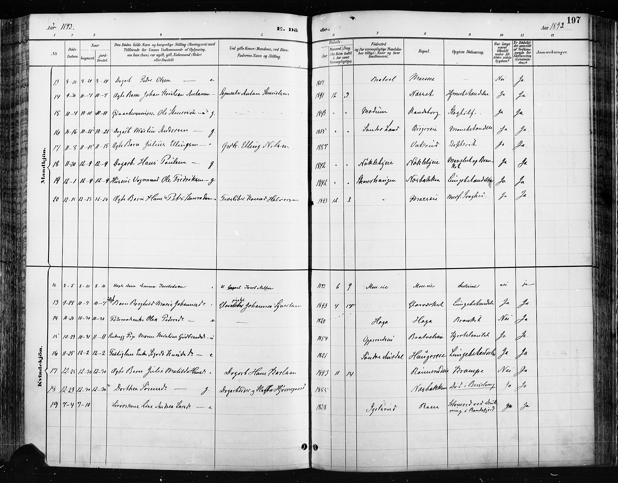 Jevnaker prestekontor, AV/SAH-PREST-116/H/Ha/Haa/L0009: Parish register (official) no. 9, 1891-1901, p. 197