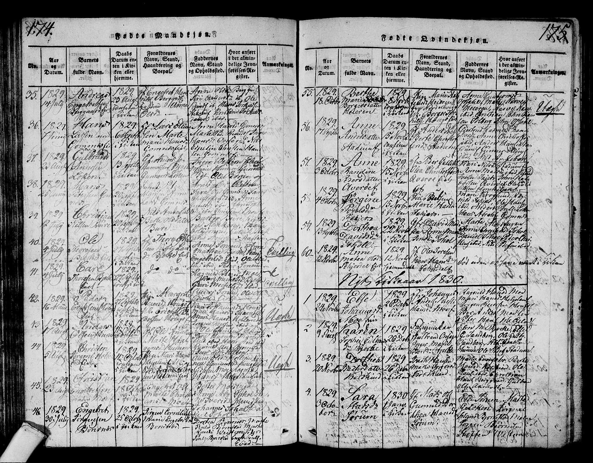 Hole kirkebøker, SAKO/A-228/G/Ga/L0001: Parish register (copy) no. I 1, 1814-1842, p. 174-175