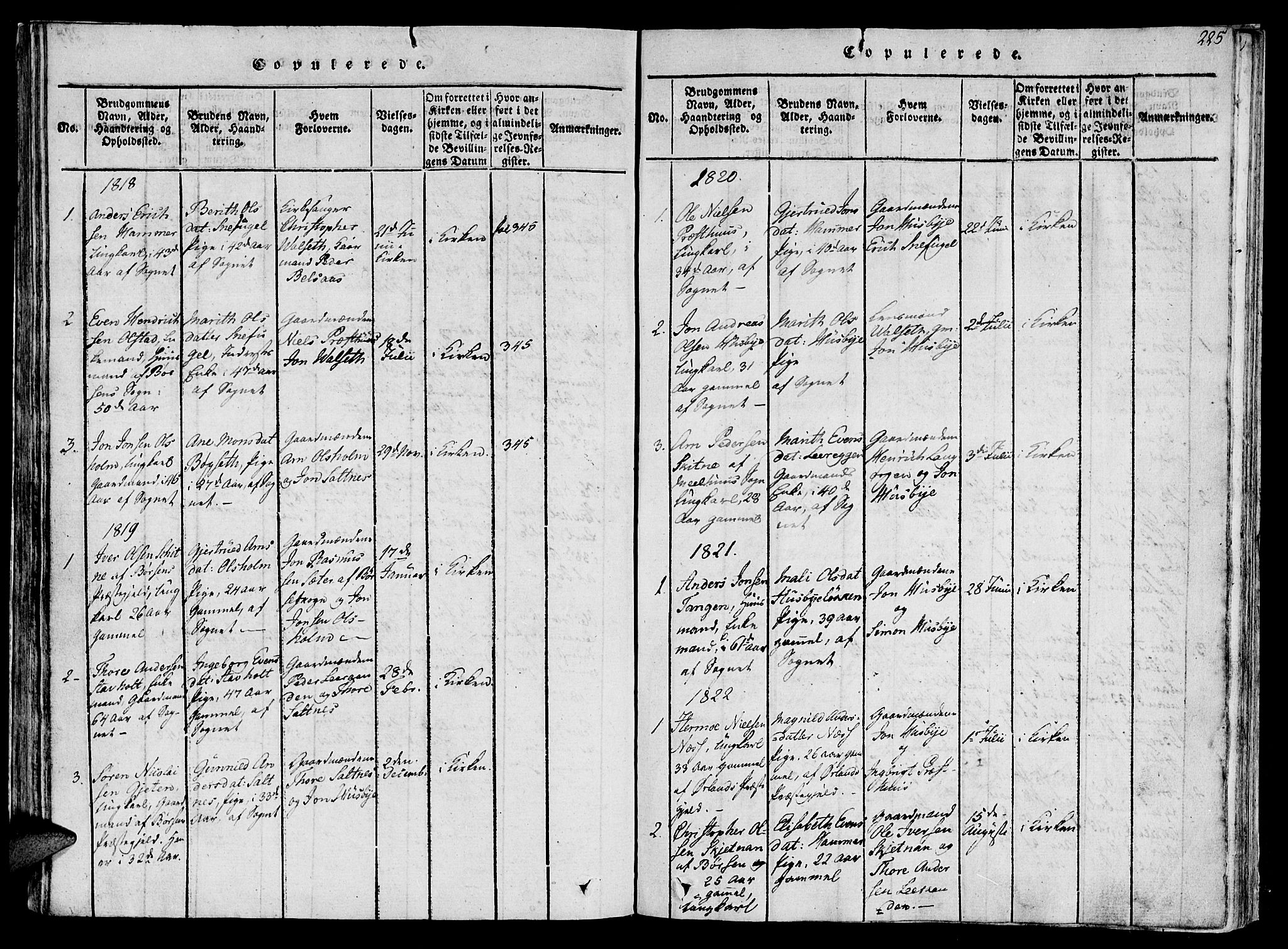 Ministerialprotokoller, klokkerbøker og fødselsregistre - Sør-Trøndelag, SAT/A-1456/612/L0373: Parish register (official) no. 612A06 /2, 1816-1828, p. 225