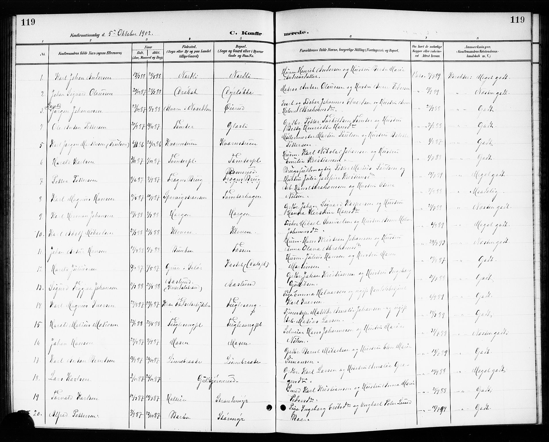 Drøbak prestekontor Kirkebøker, SAO/A-10142a/G/Gb/L0001: Parish register (copy) no. II 1, 1901-1919, p. 119