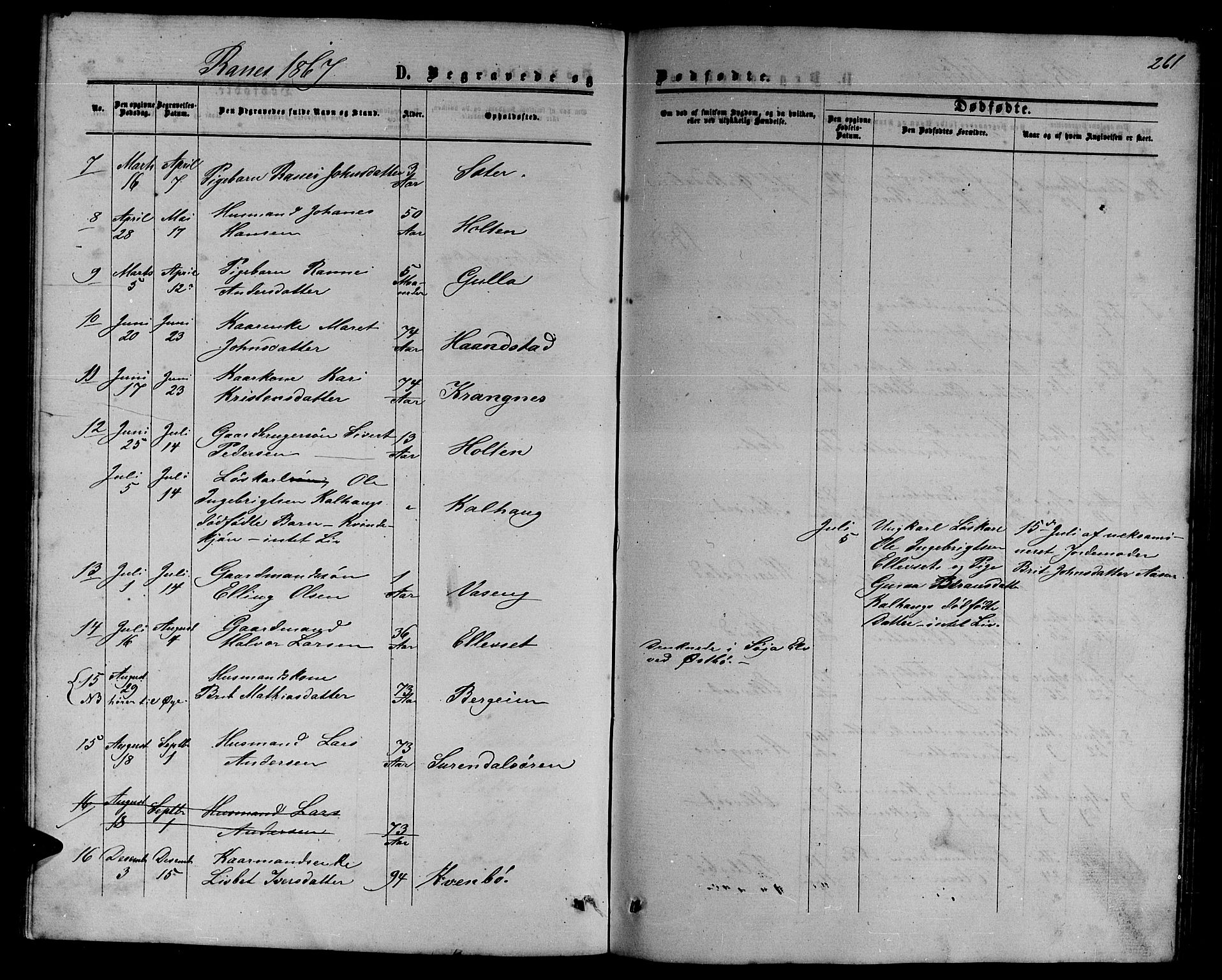 Ministerialprotokoller, klokkerbøker og fødselsregistre - Møre og Romsdal, AV/SAT-A-1454/595/L1051: Parish register (copy) no. 595C03, 1866-1891, p. 261