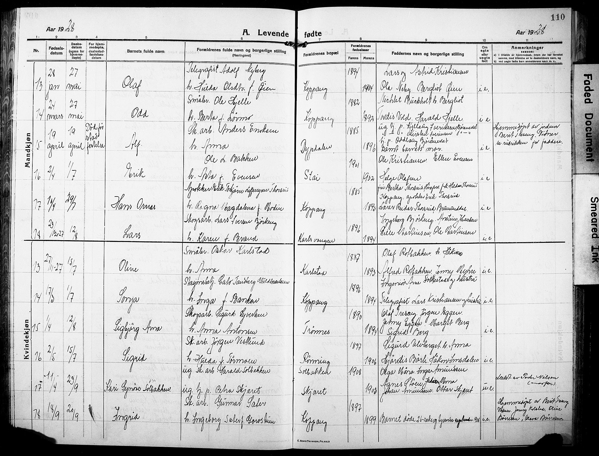 Stor-Elvdal prestekontor, AV/SAH-PREST-052/H/Ha/Hab/L0005: Parish register (copy) no. 5, 1913-1932, p. 110