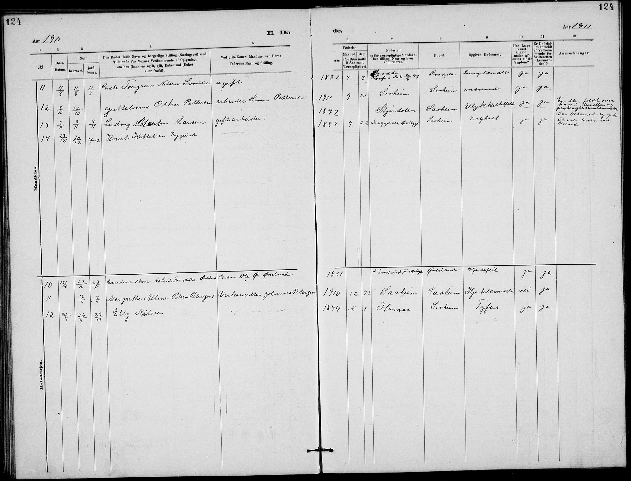 Rjukan kirkebøker, AV/SAKO-A-294/G/Ga/L0001: Parish register (copy) no. 1, 1880-1914, p. 124