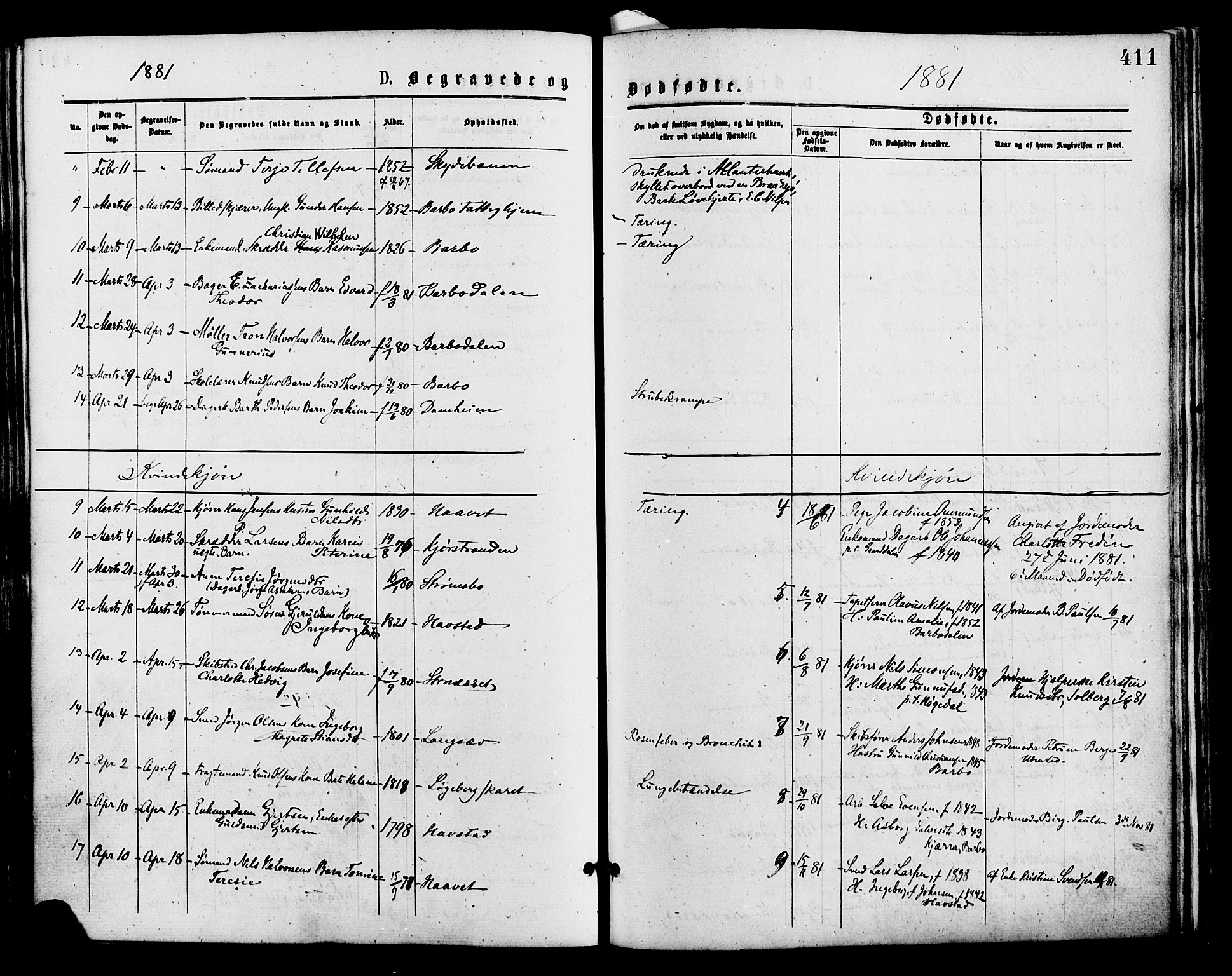 Barbu sokneprestkontor, AV/SAK-1111-0003/F/Fa/L0001: Parish register (official) no. A 1 /1, 1878-1883, p. 411