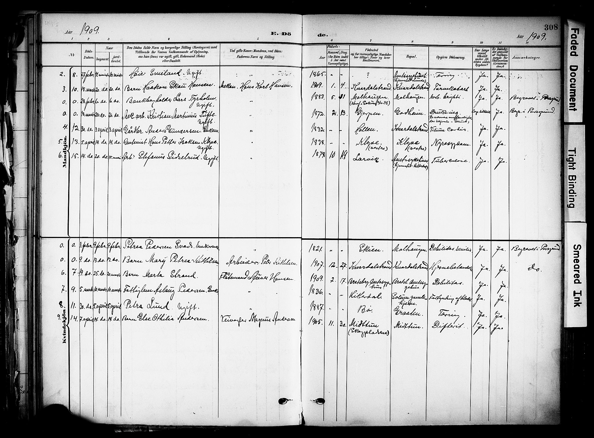Solum kirkebøker, SAKO/A-306/F/Fa/L0011: Parish register (official) no. I 11, 1898-1909, p. 308