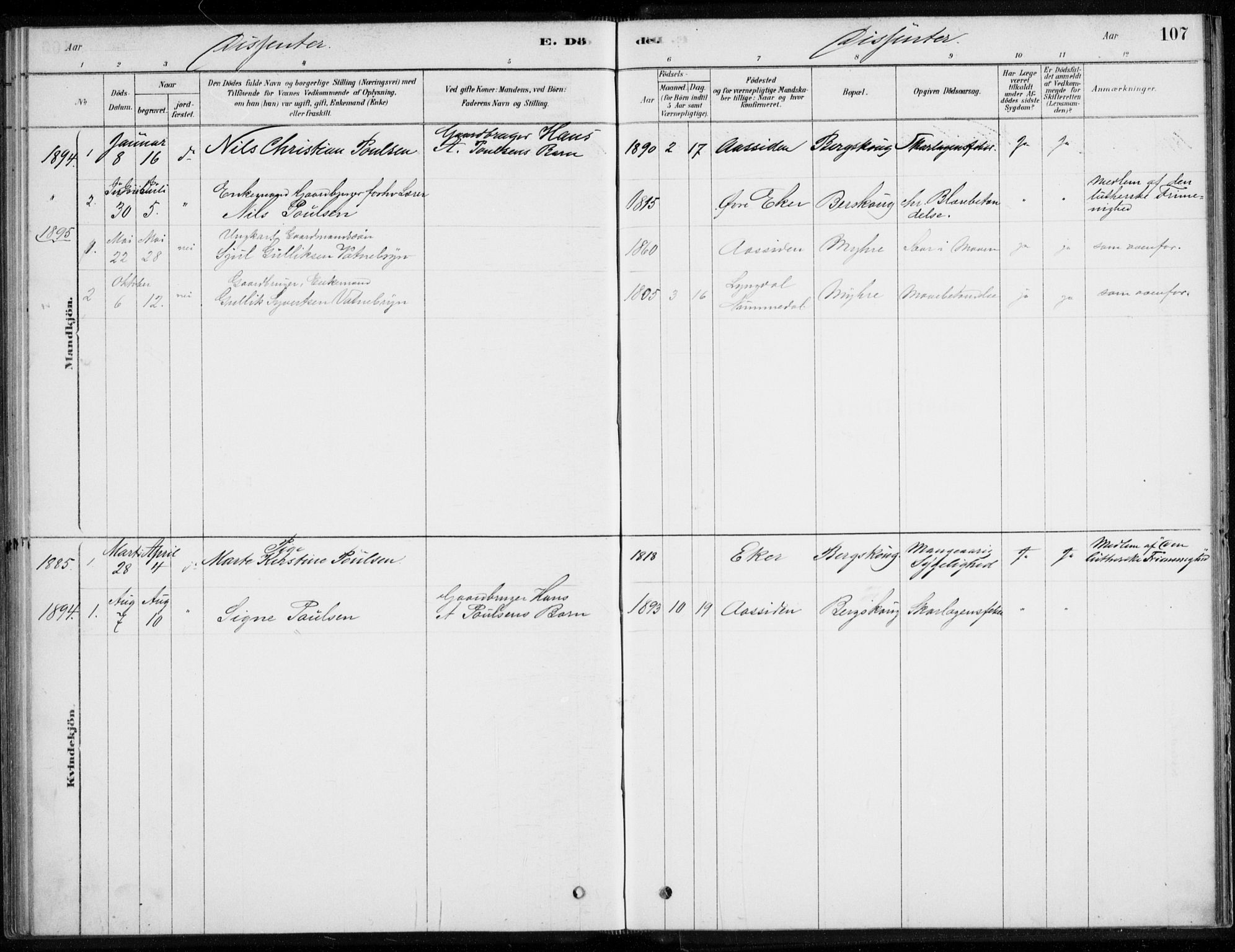 Åssiden kirkebøker, SAKO/A-251/F/Fa/L0001: Parish register (official) no. 1, 1878-1904, p. 107