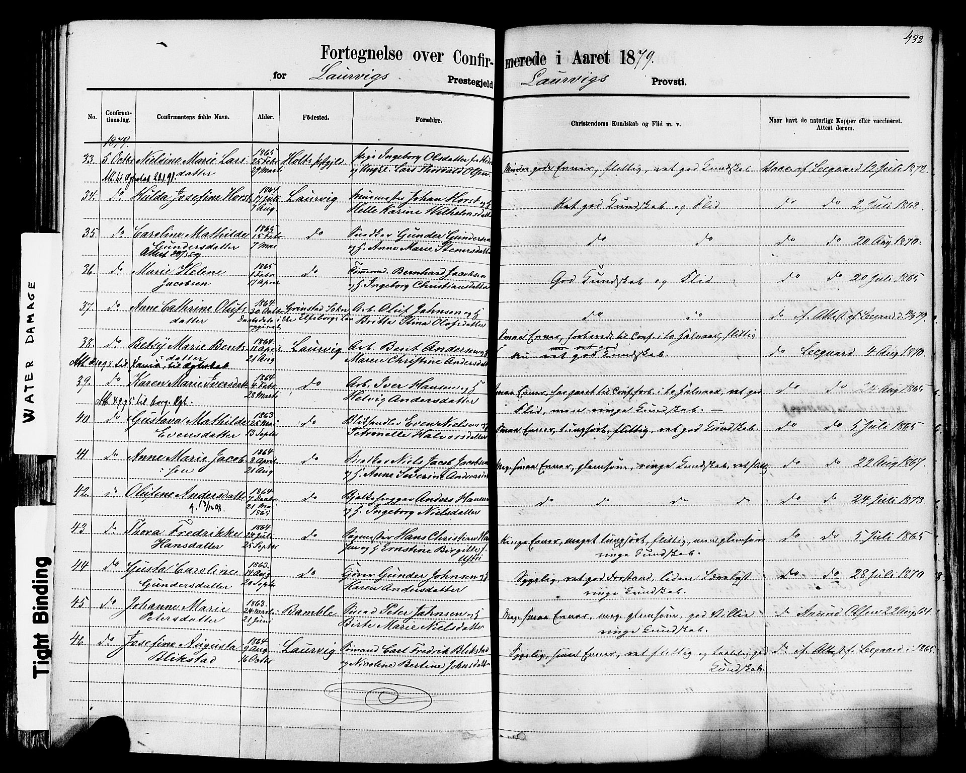 Larvik kirkebøker, AV/SAKO-A-352/F/Fa/L0006: Parish register (official) no. I 6, 1871-1883, p. 432