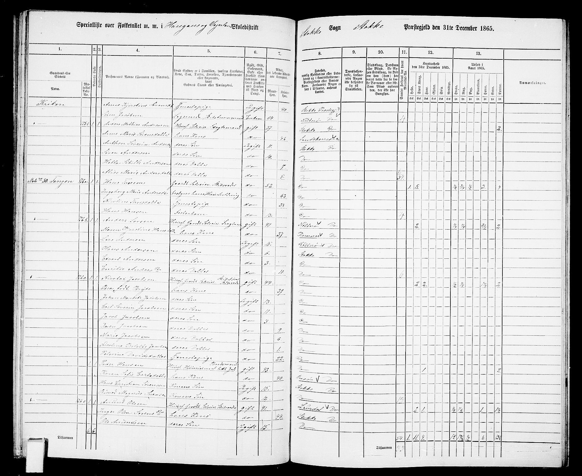 RA, 1865 census for Stokke, 1865, p. 100