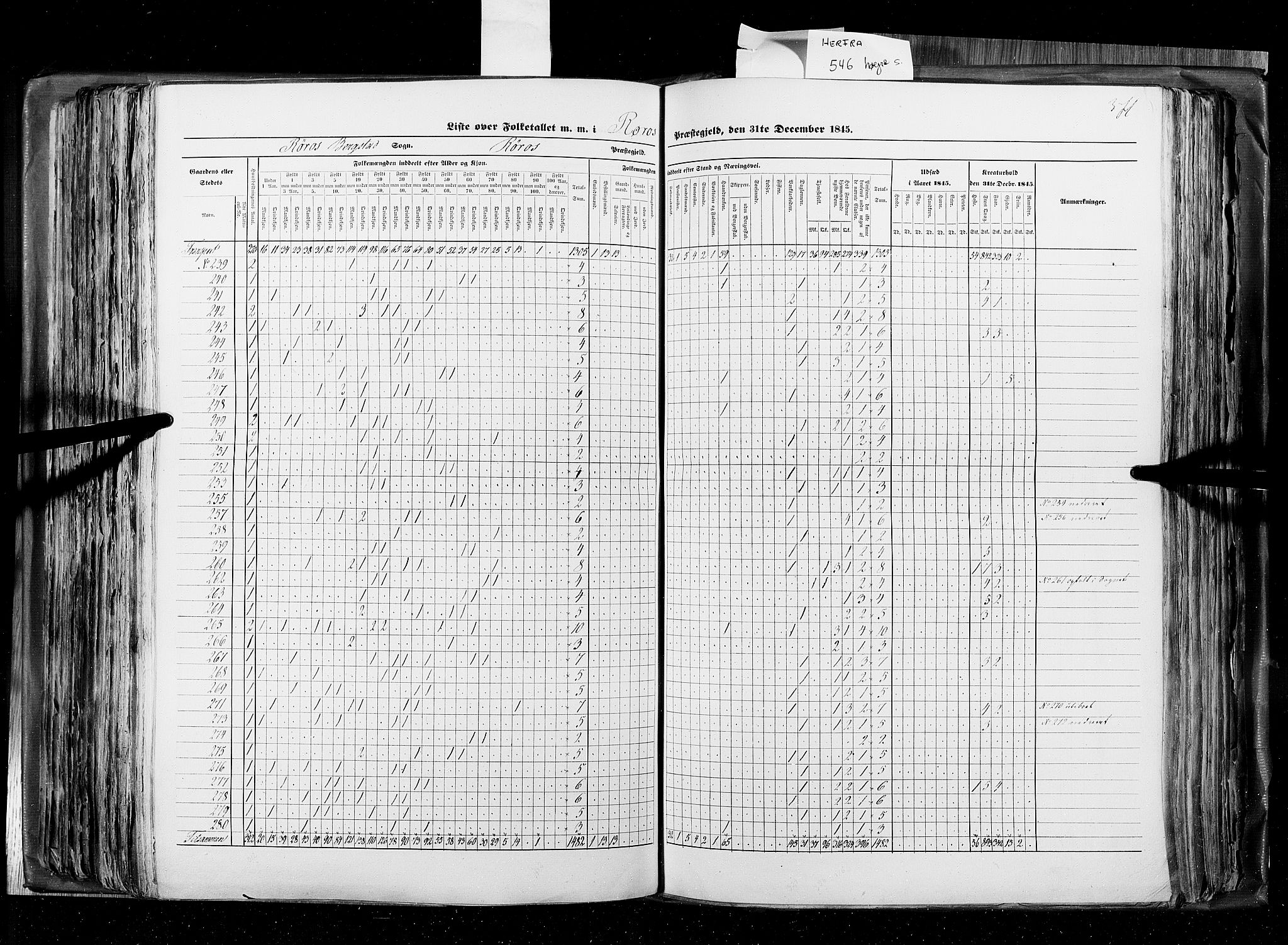 RA, Census 1845, vol. 8: Romsdal amt og Søndre Trondhjems amt, 1845, p. 371