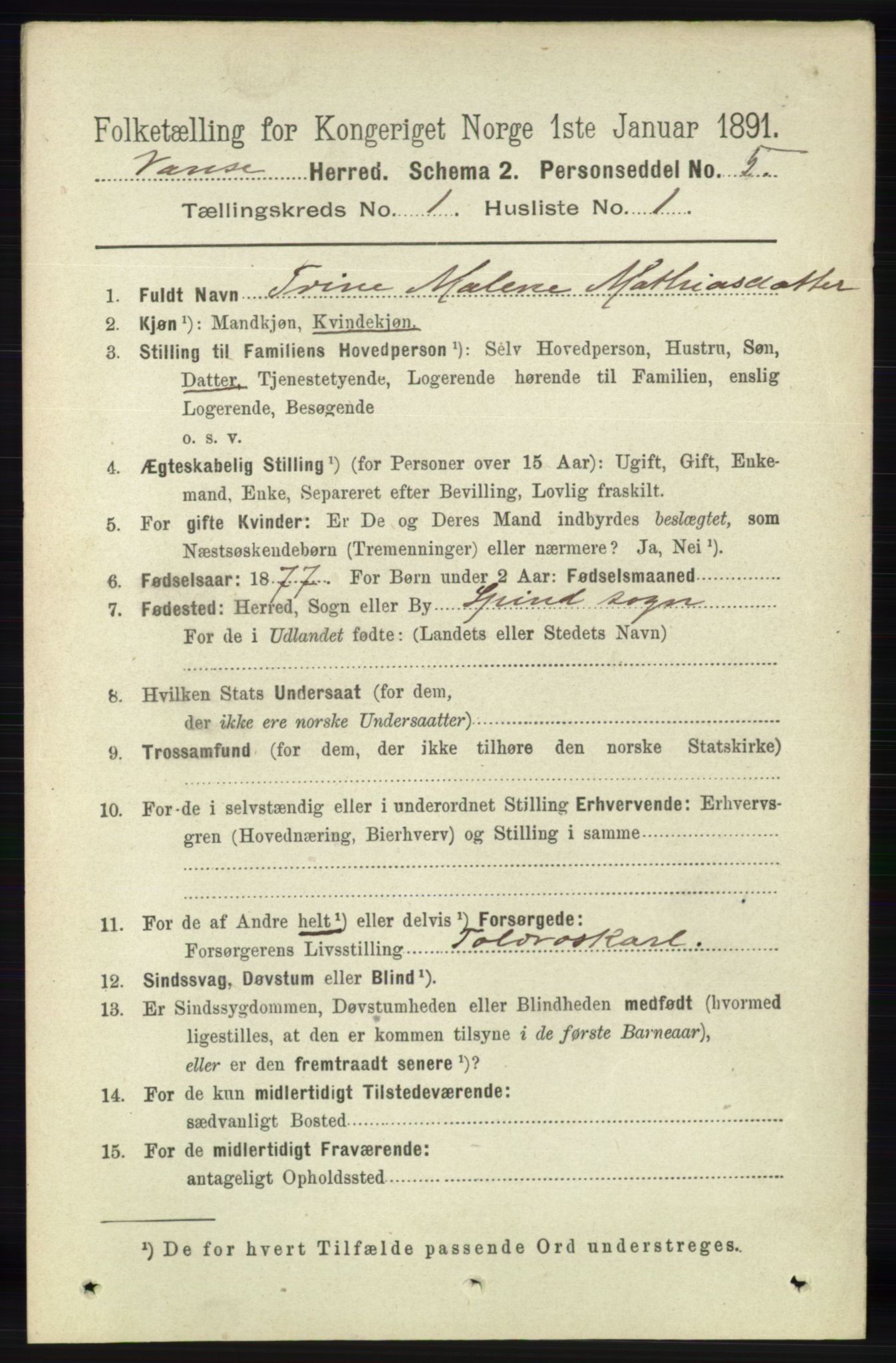 RA, 1891 census for 1041 Vanse, 1891, p. 133