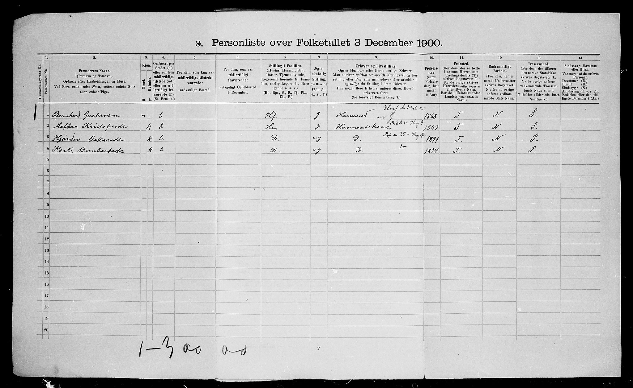 SAO, 1900 census for Fet, 1900