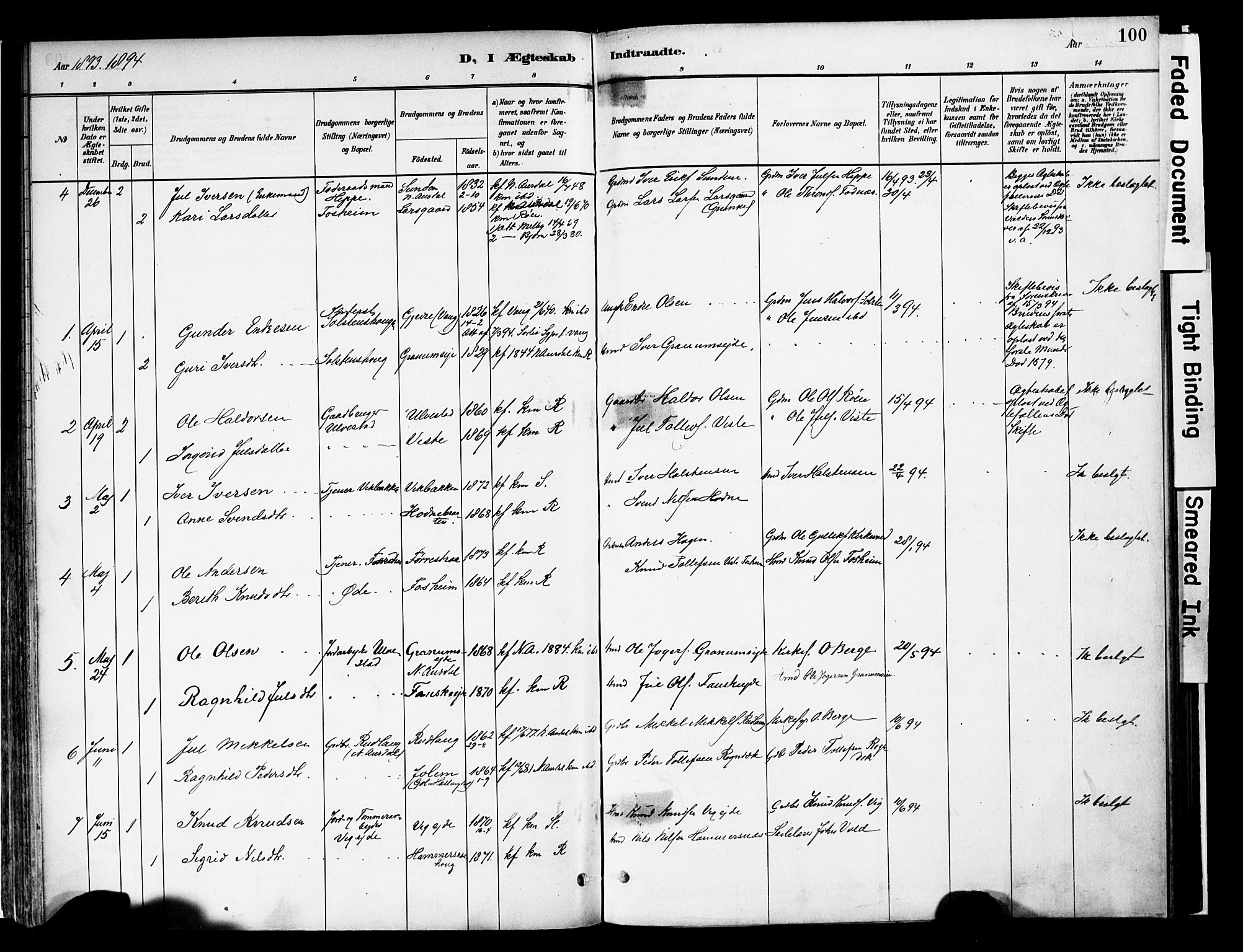 Vestre Slidre prestekontor, AV/SAH-PREST-136/H/Ha/Haa/L0006: Parish register (official) no. 6, 1881-1912, p. 100