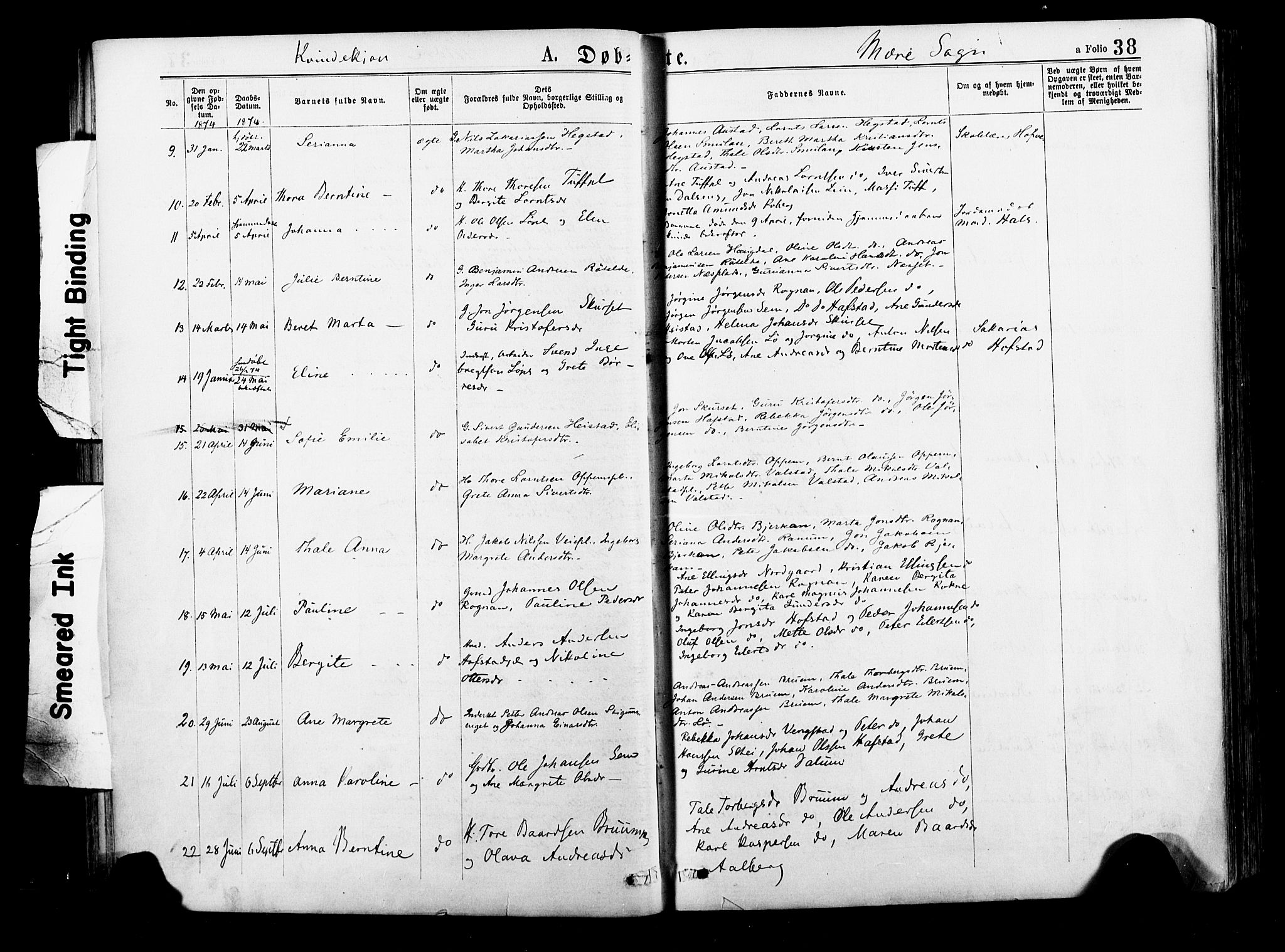 Ministerialprotokoller, klokkerbøker og fødselsregistre - Nord-Trøndelag, SAT/A-1458/735/L0348: Parish register (official) no. 735A09 /1, 1873-1883, p. 38