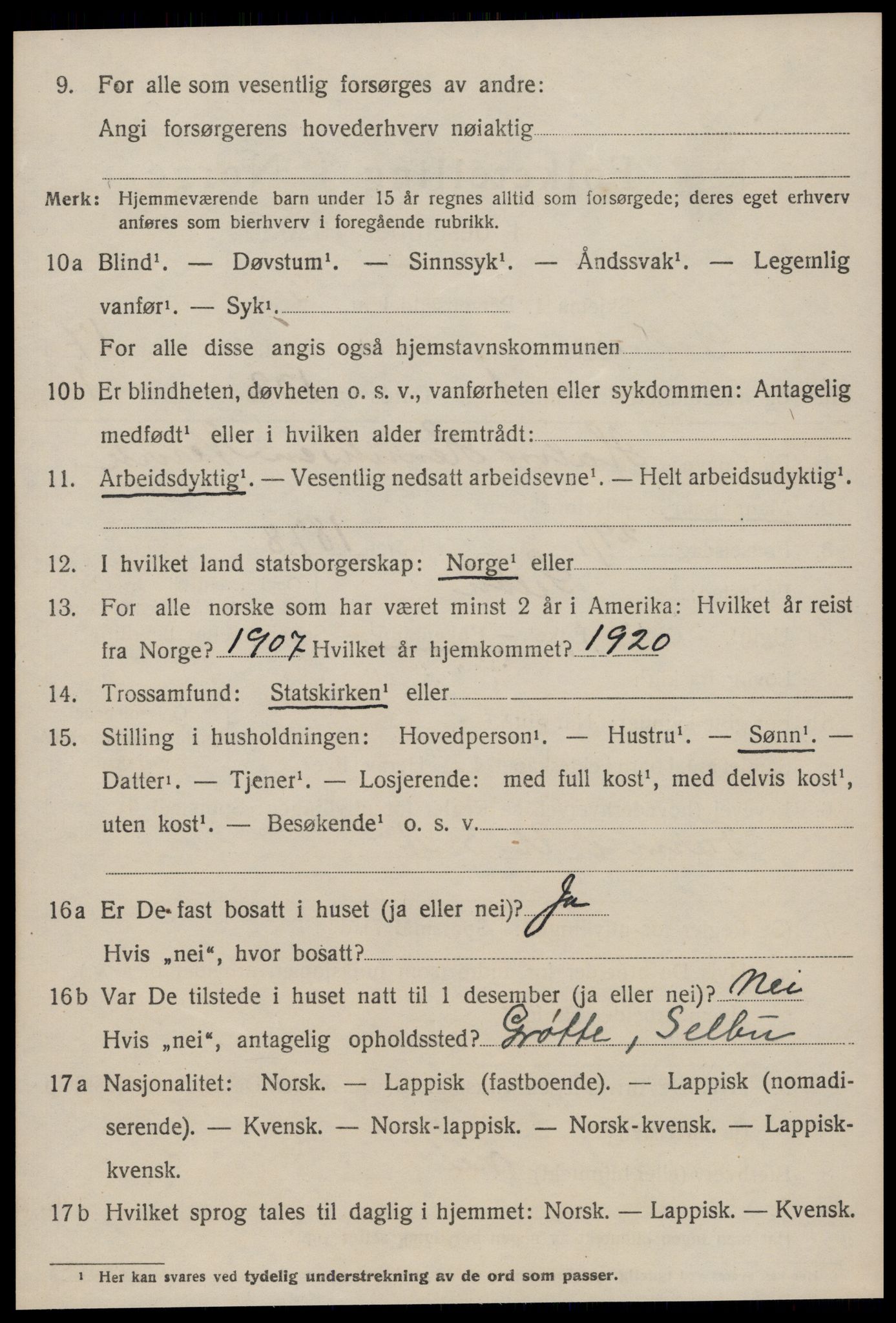 SAT, 1920 census for Selbu, 1920, p. 8885