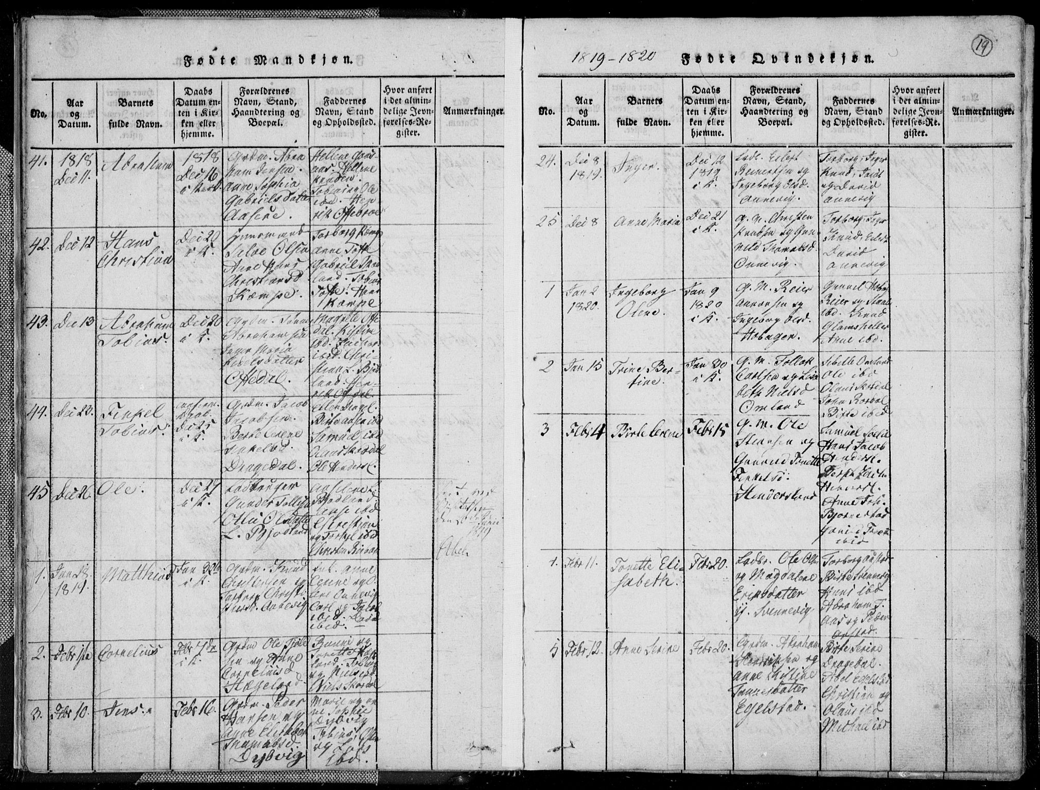 Lyngdal sokneprestkontor, AV/SAK-1111-0029/F/Fa/Fac/L0006: Parish register (official) no. A 6, 1815-1825, p. 19