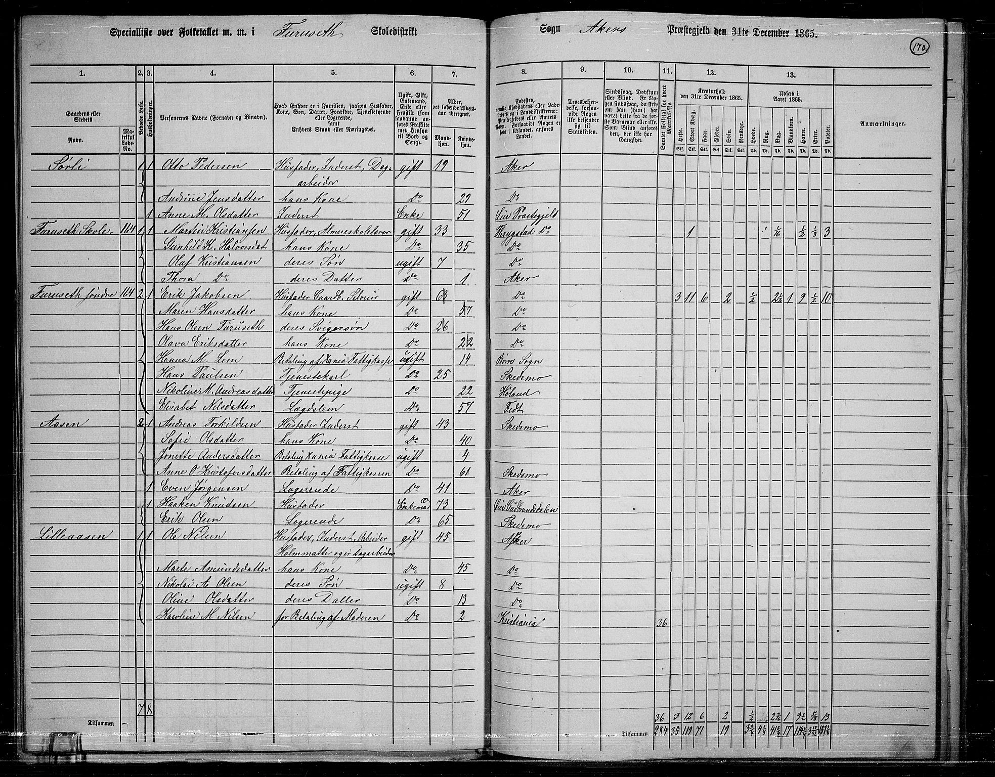 RA, 1865 census for Østre Aker, 1865, p. 159