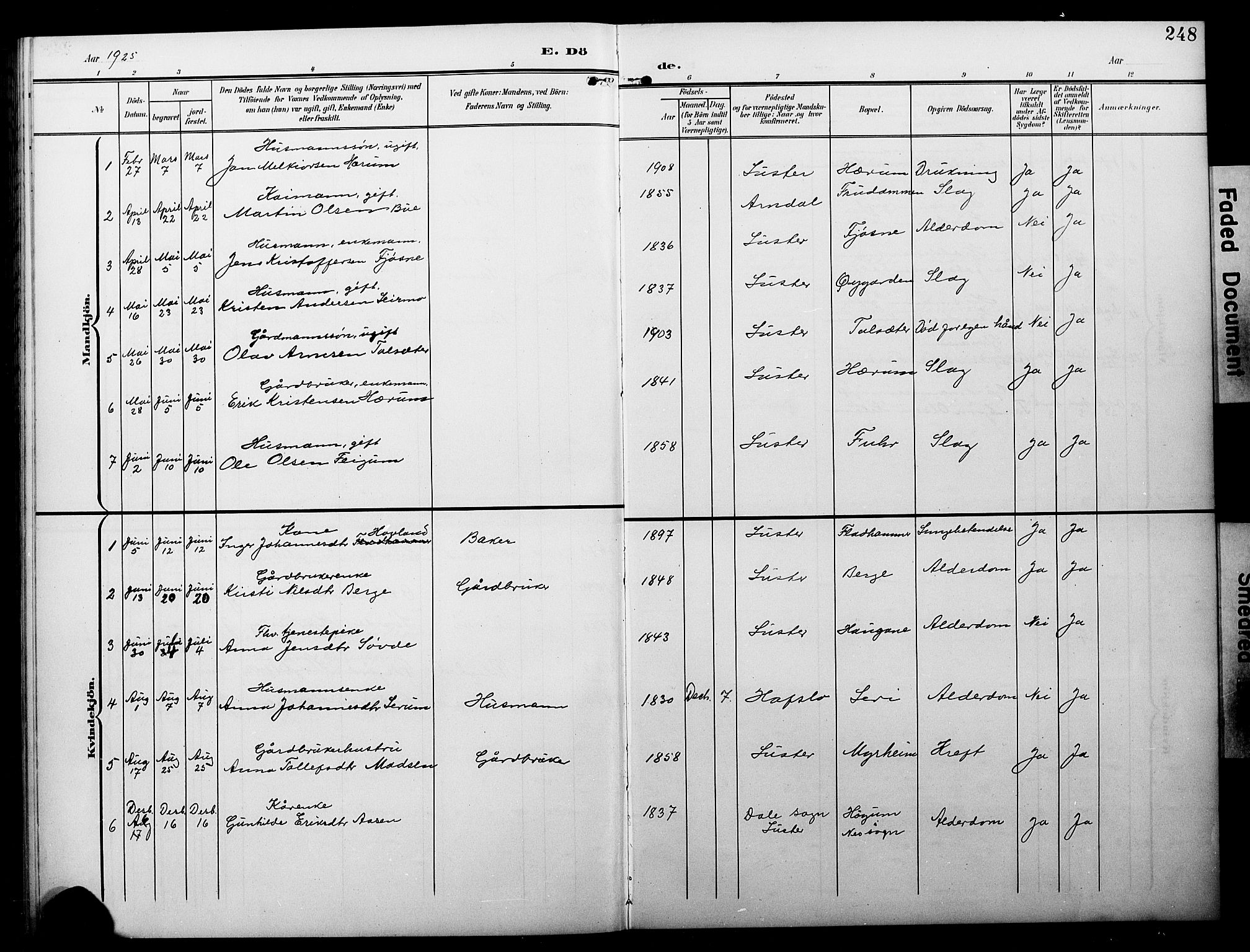 Luster sokneprestembete, AV/SAB-A-81101/H/Hab/Haba/L0001: Parish register (copy) no. A 1, 1903-1930, p. 248