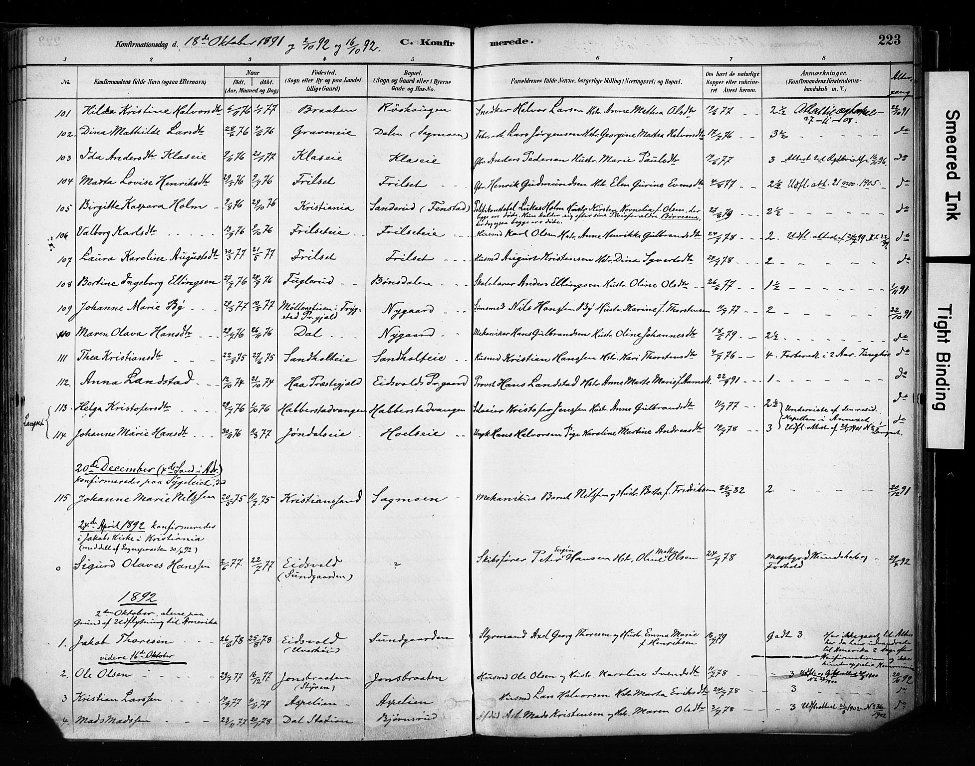 Eidsvoll prestekontor Kirkebøker, SAO/A-10888/F/Fa/L0002: Parish register (official) no. I 2, 1882-1895, p. 223