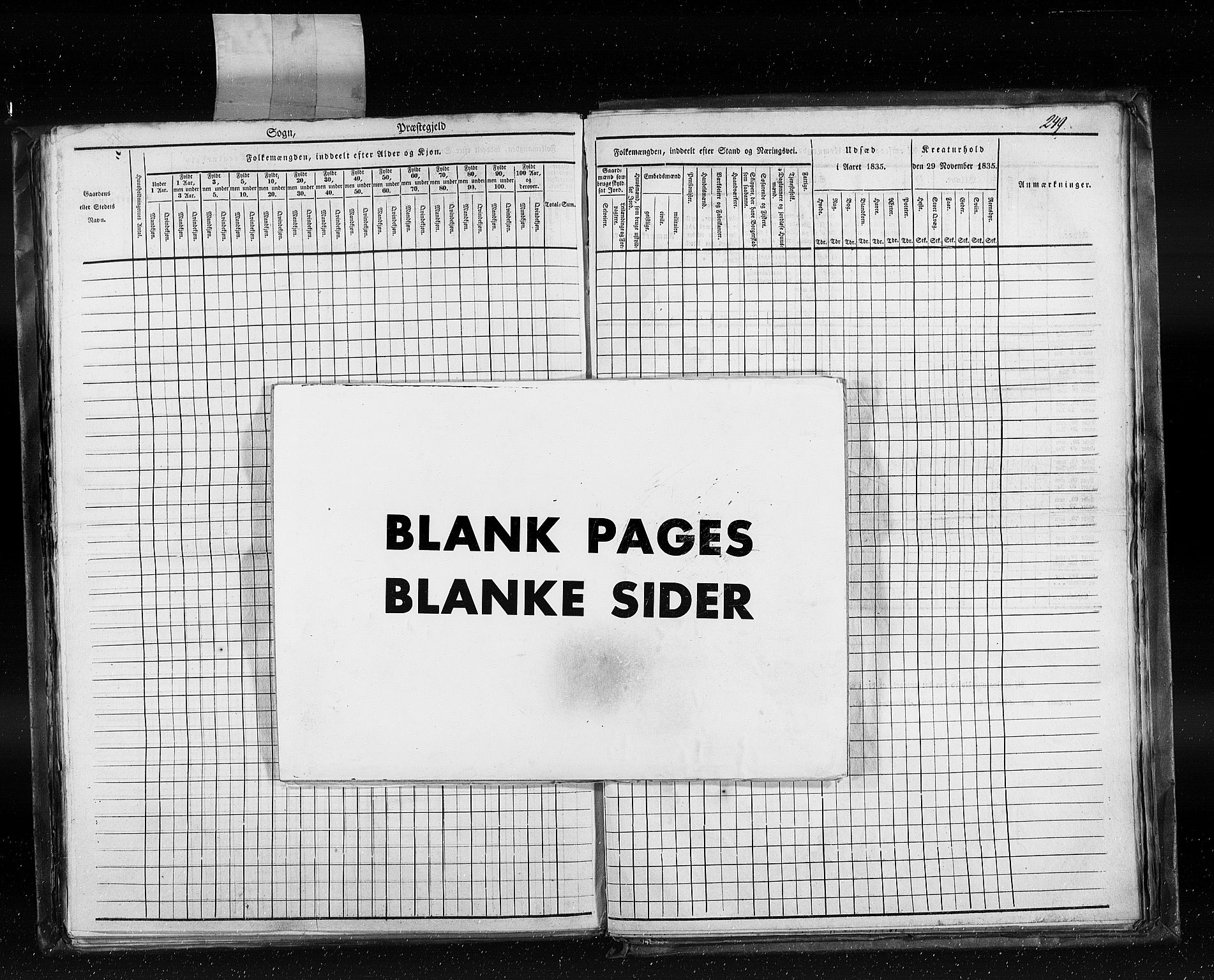RA, Census 1835, vol. 5: Bratsberg amt og Nedenes og Råbyggelaget amt, 1835, p. 249