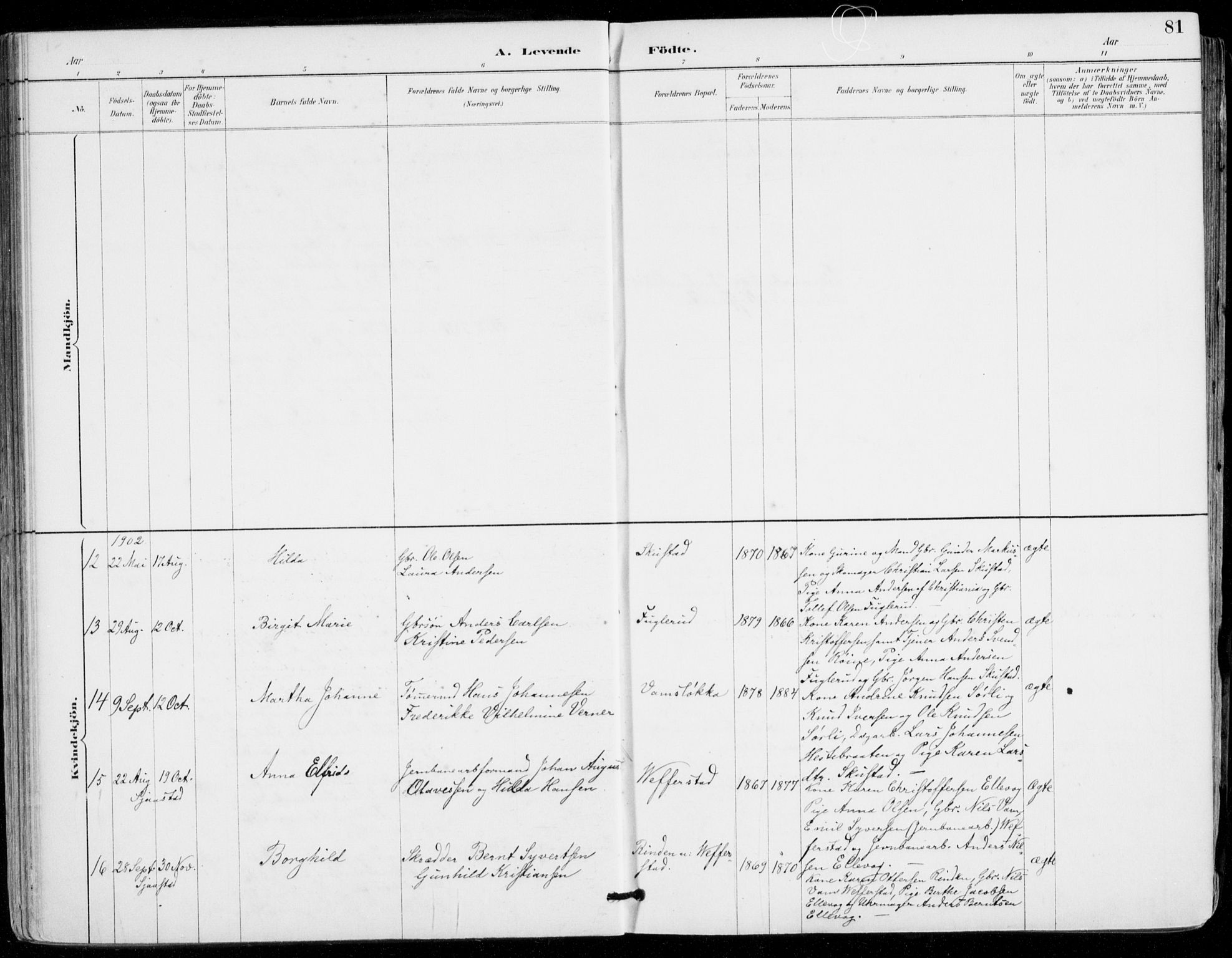 Sylling kirkebøker, AV/SAKO-A-247/F/Fa/L0001: Parish register (official) no. 1, 1883-1910, p. 81