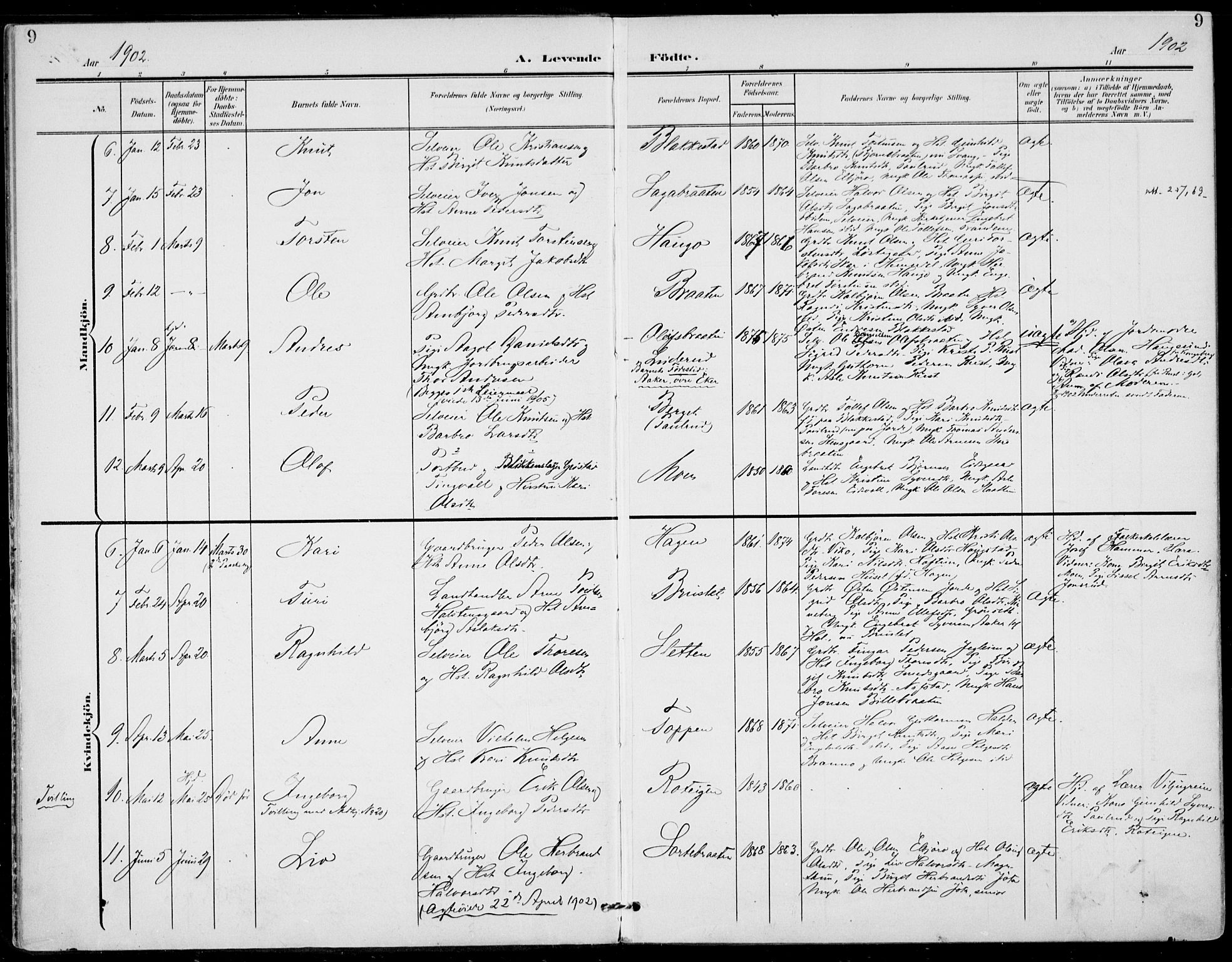 Gol kirkebøker, SAKO/A-226/F/Fa/L0006: Parish register (official) no. I 6, 1901-1918, p. 9