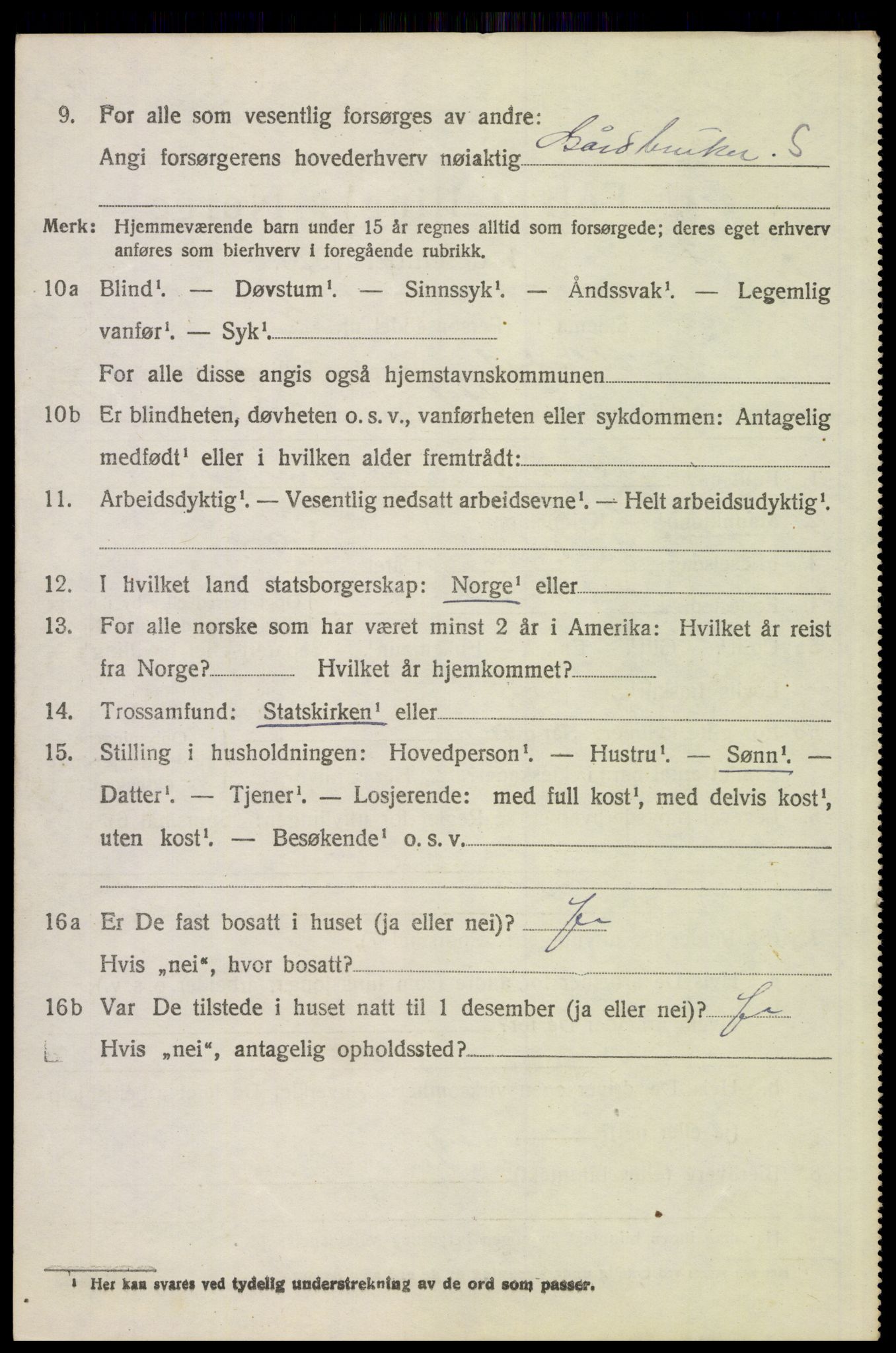 SAH, 1920 census for Alvdal, 1920, p. 4905