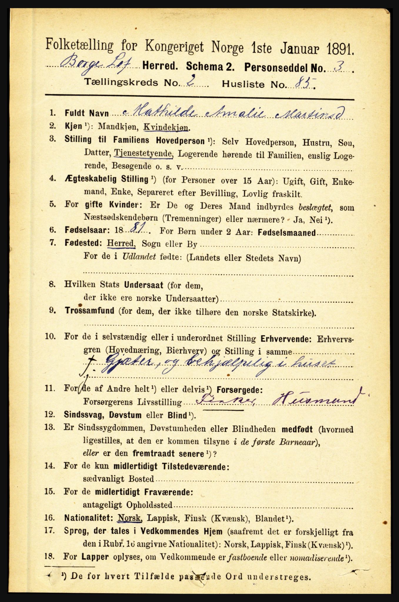 RA, 1891 census for 1862 Borge, 1891, p. 1458