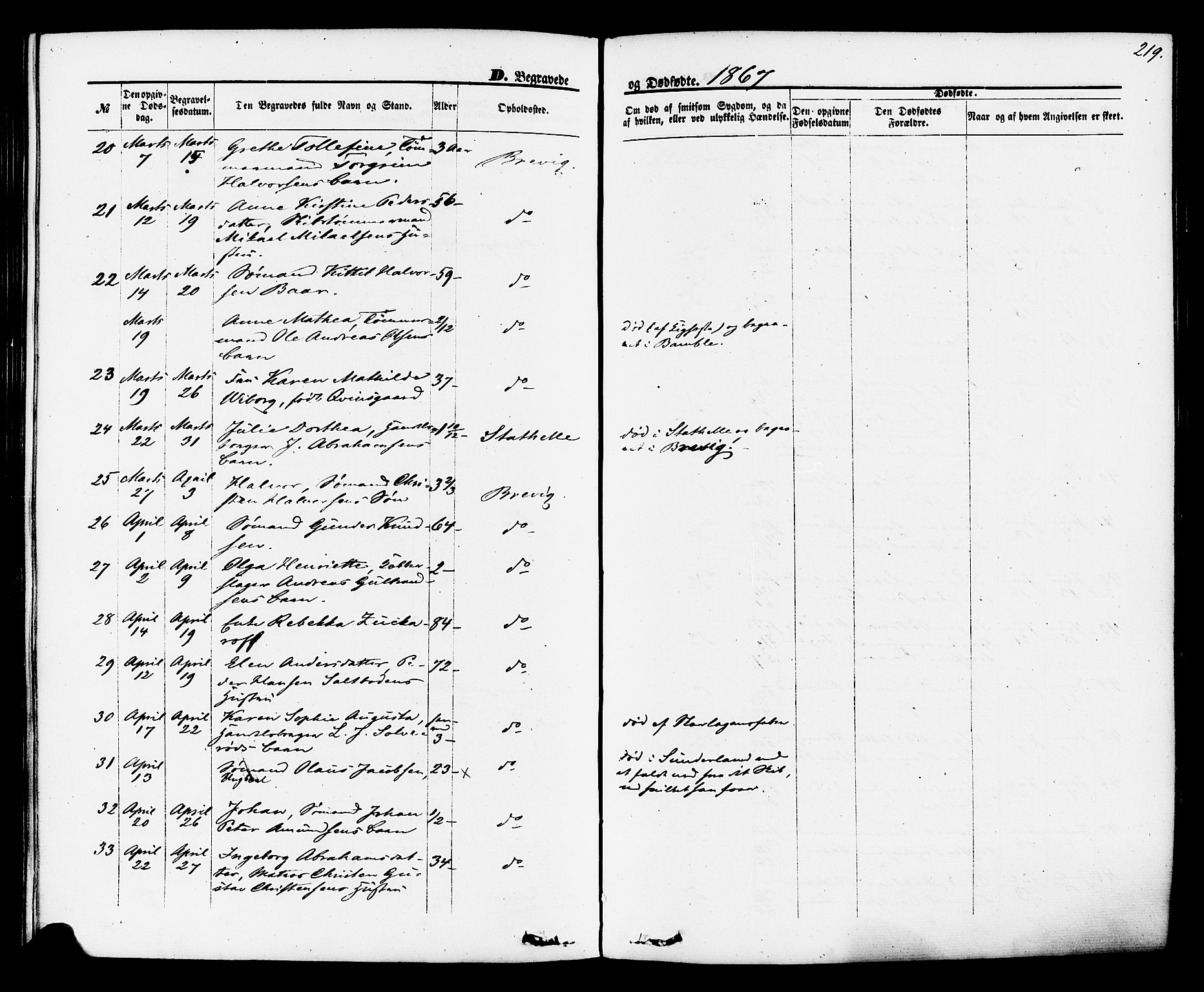 Brevik kirkebøker, AV/SAKO-A-255/F/Fa/L0006: Parish register (official) no. 6, 1866-1881, p. 219