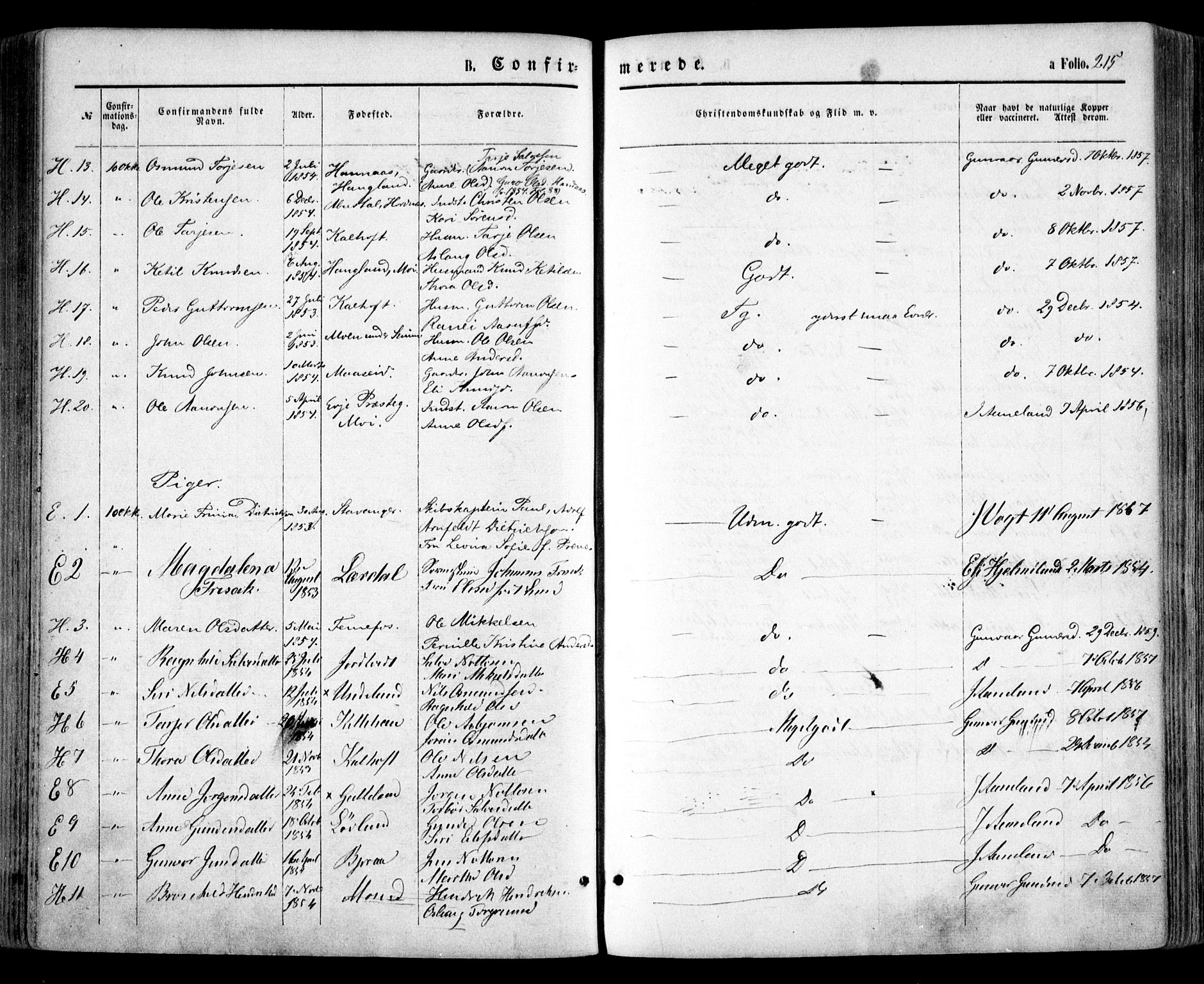 Evje sokneprestkontor, SAK/1111-0008/F/Fa/Faa/L0006: Parish register (official) no. A 6, 1866-1884, p. 215