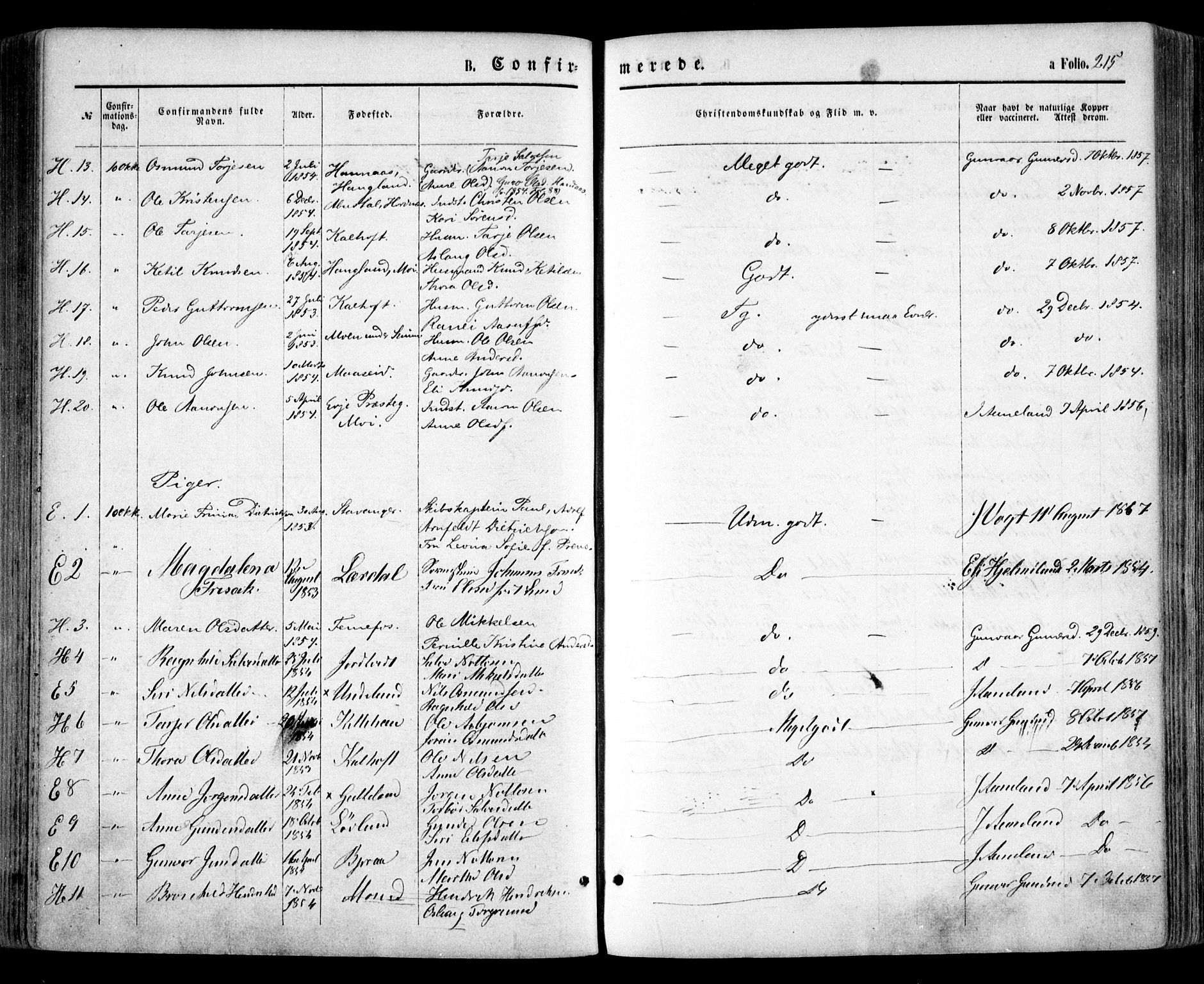 Evje sokneprestkontor, AV/SAK-1111-0008/F/Fa/Faa/L0006: Parish register (official) no. A 6, 1866-1884, p. 215