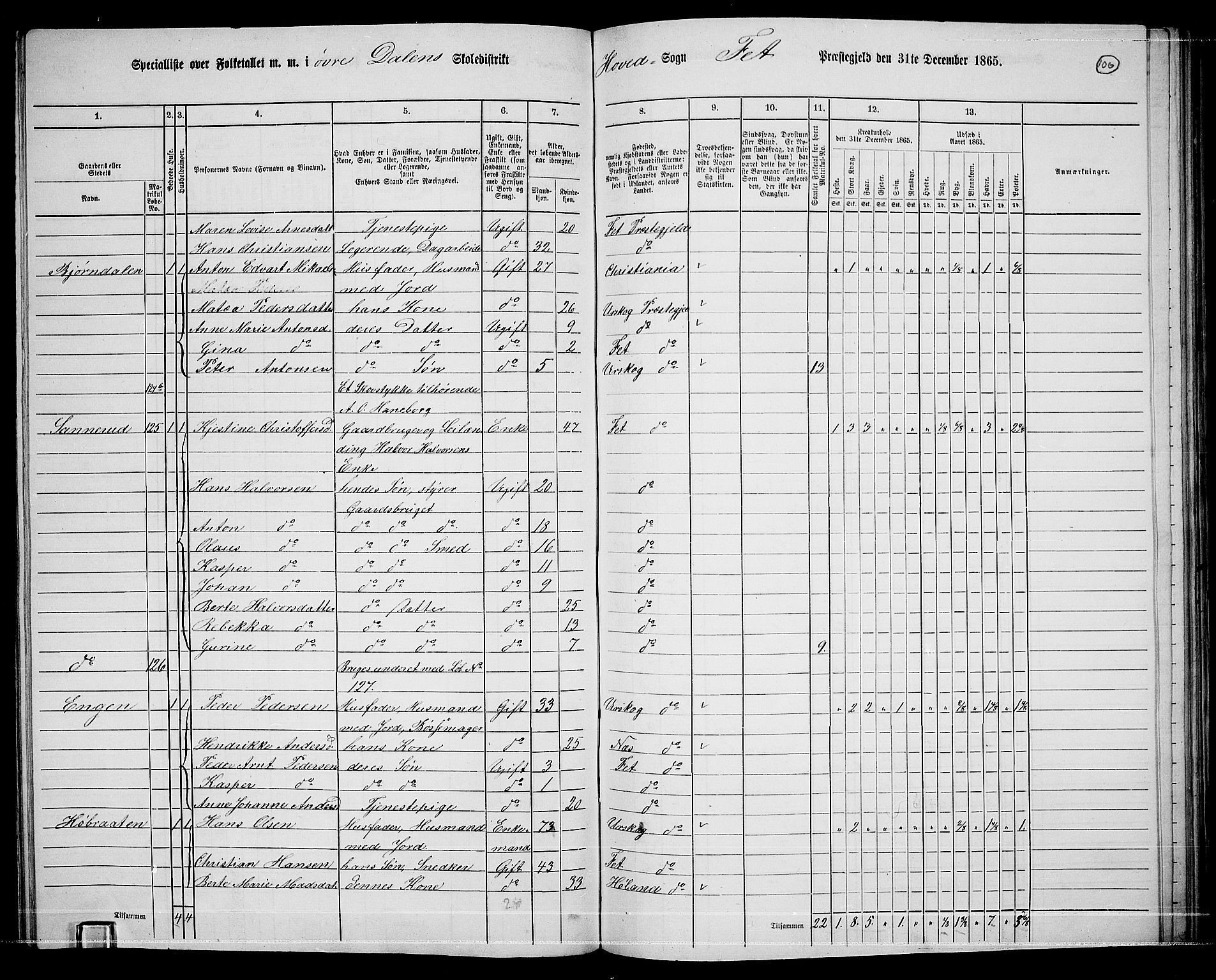 RA, 1865 census for Fet, 1865, p. 100