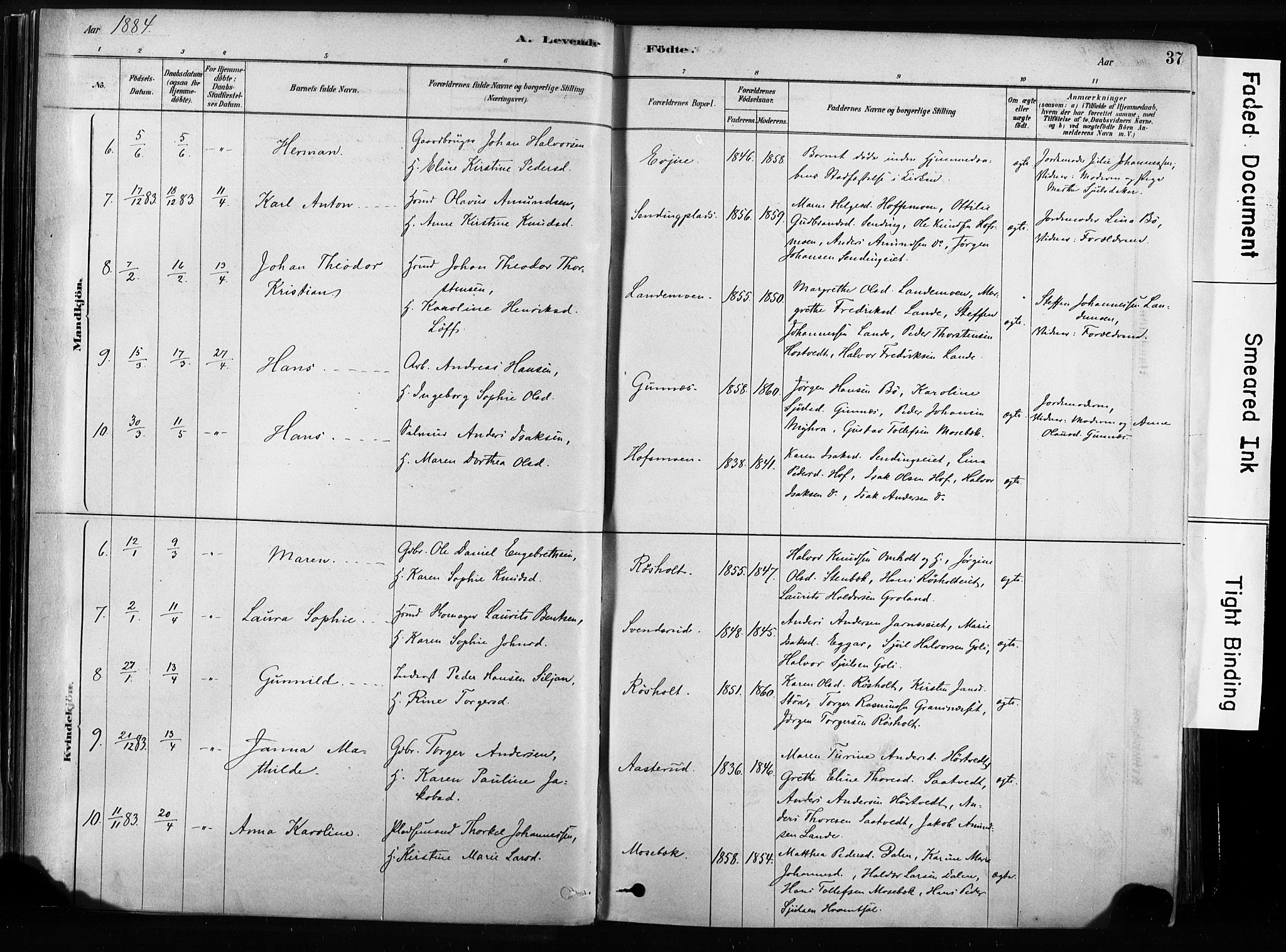 Sandsvær kirkebøker, SAKO/A-244/F/Fb/L0001: Parish register (official) no. II 1, 1878-1906, p. 37