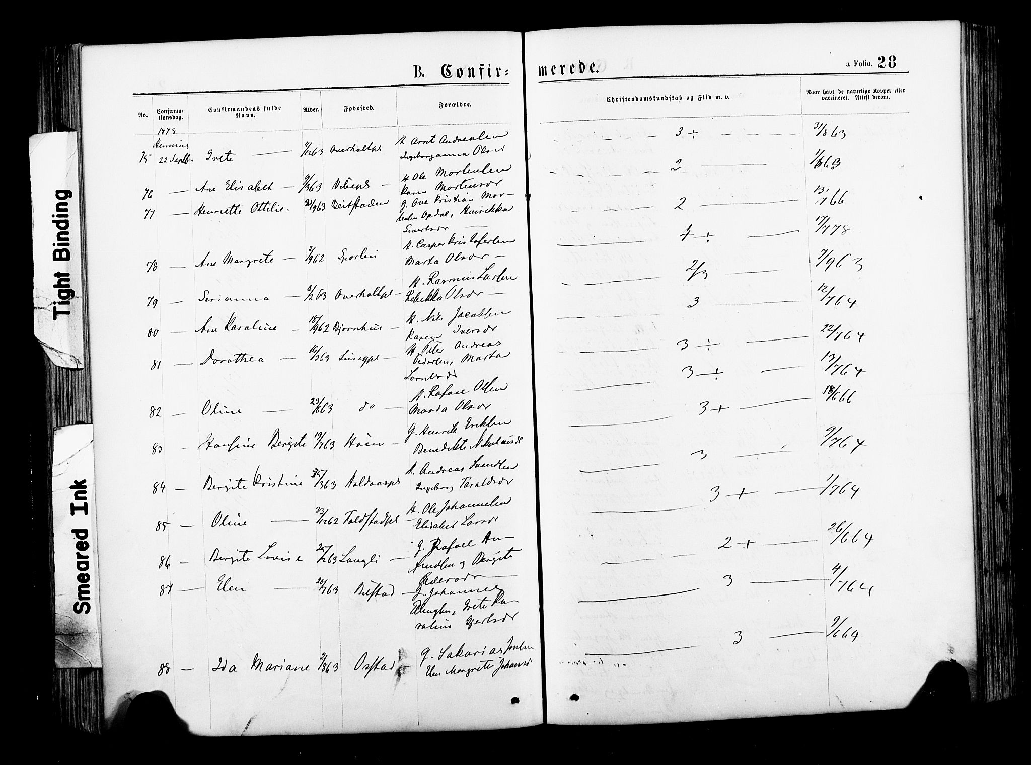 Ministerialprotokoller, klokkerbøker og fødselsregistre - Nord-Trøndelag, SAT/A-1458/735/L0348: Parish register (official) no. 735A09 /1, 1873-1883, p. 28