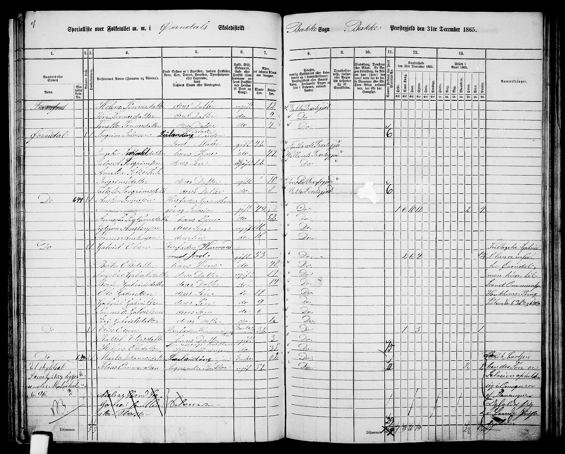 RA, 1865 census for Bakke, 1865, p. 68