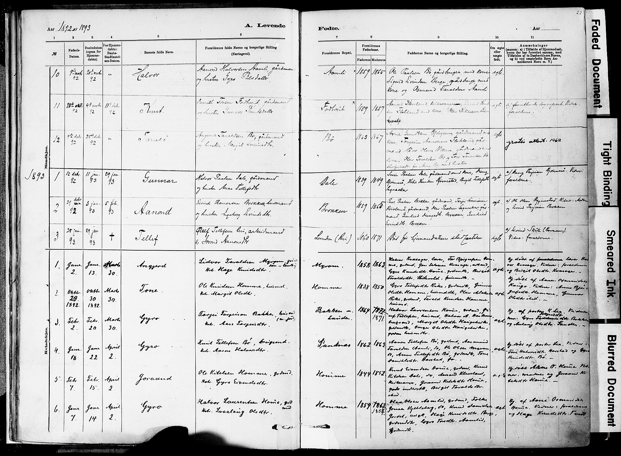 Valle sokneprestkontor, SAK/1111-0044/F/Fa/Fac/L0009: Parish register (official) no. A 9, 1882-1913, p. 23