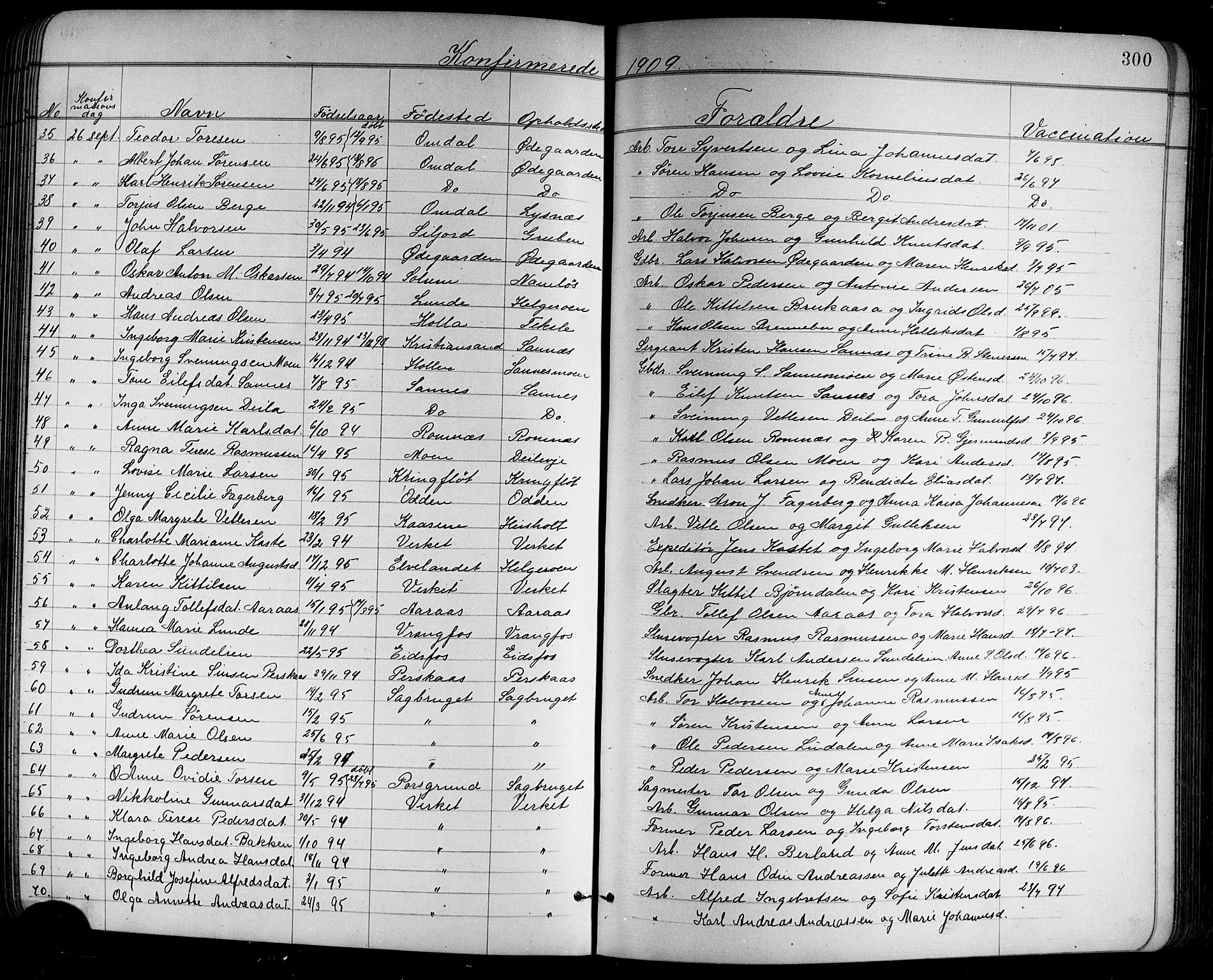 Holla kirkebøker, SAKO/A-272/G/Ga/L0005: Parish register (copy) no. I 5, 1891-1917, p. 300