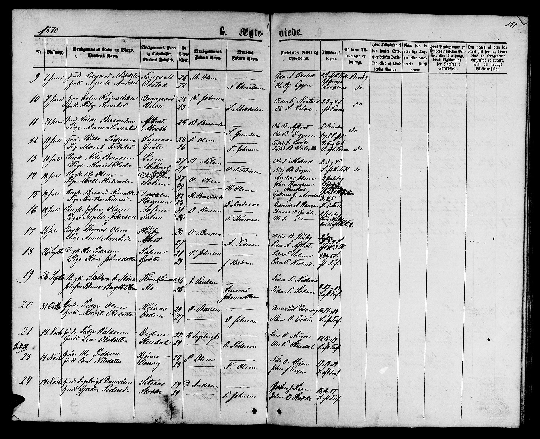 Ministerialprotokoller, klokkerbøker og fødselsregistre - Sør-Trøndelag, AV/SAT-A-1456/695/L1156: Parish register (copy) no. 695C07, 1869-1888, p. 251