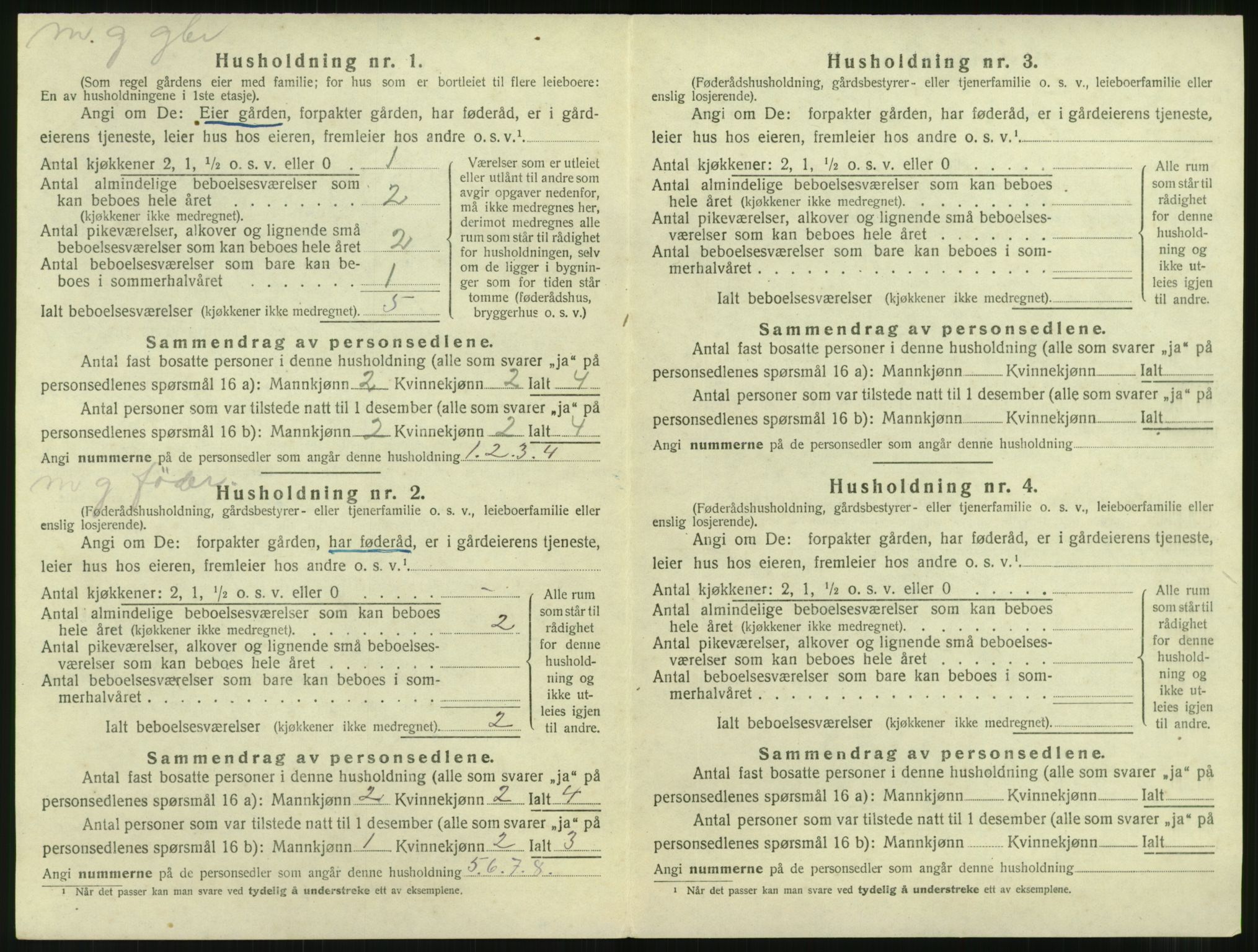 SAT, 1920 census for Nesset, 1920, p. 133