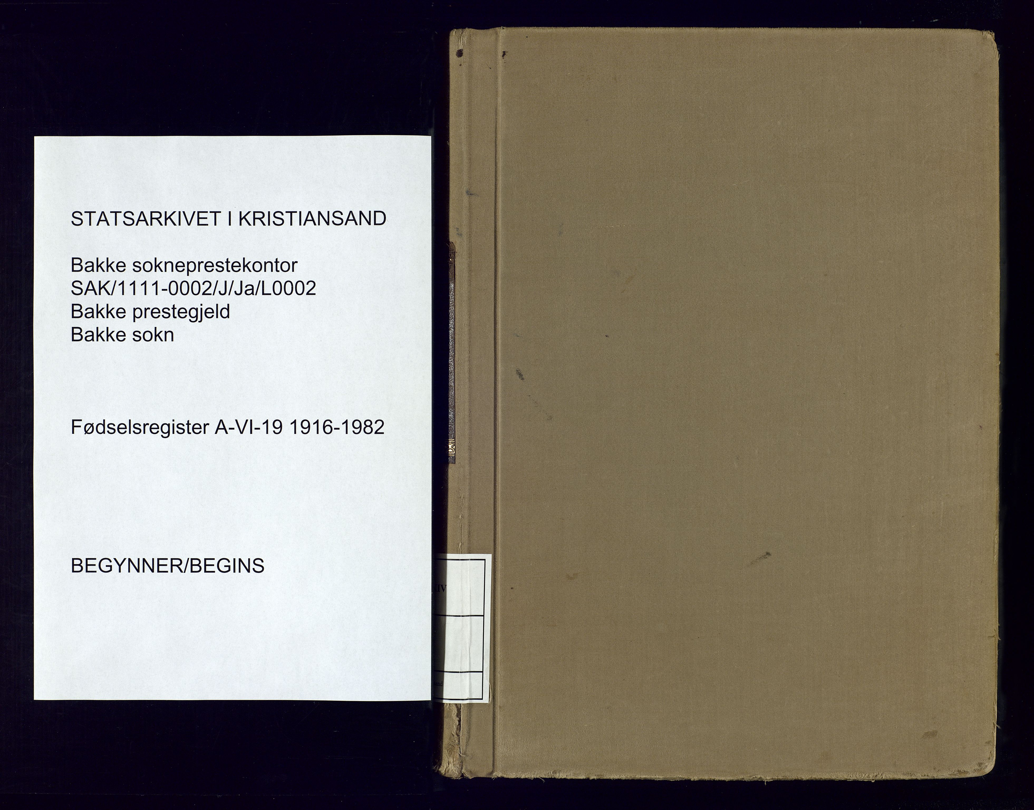 Bakke sokneprestkontor, SAK/1111-0002/J/Ja/L0002: Birth register no. A-VI-19, 1916-1982