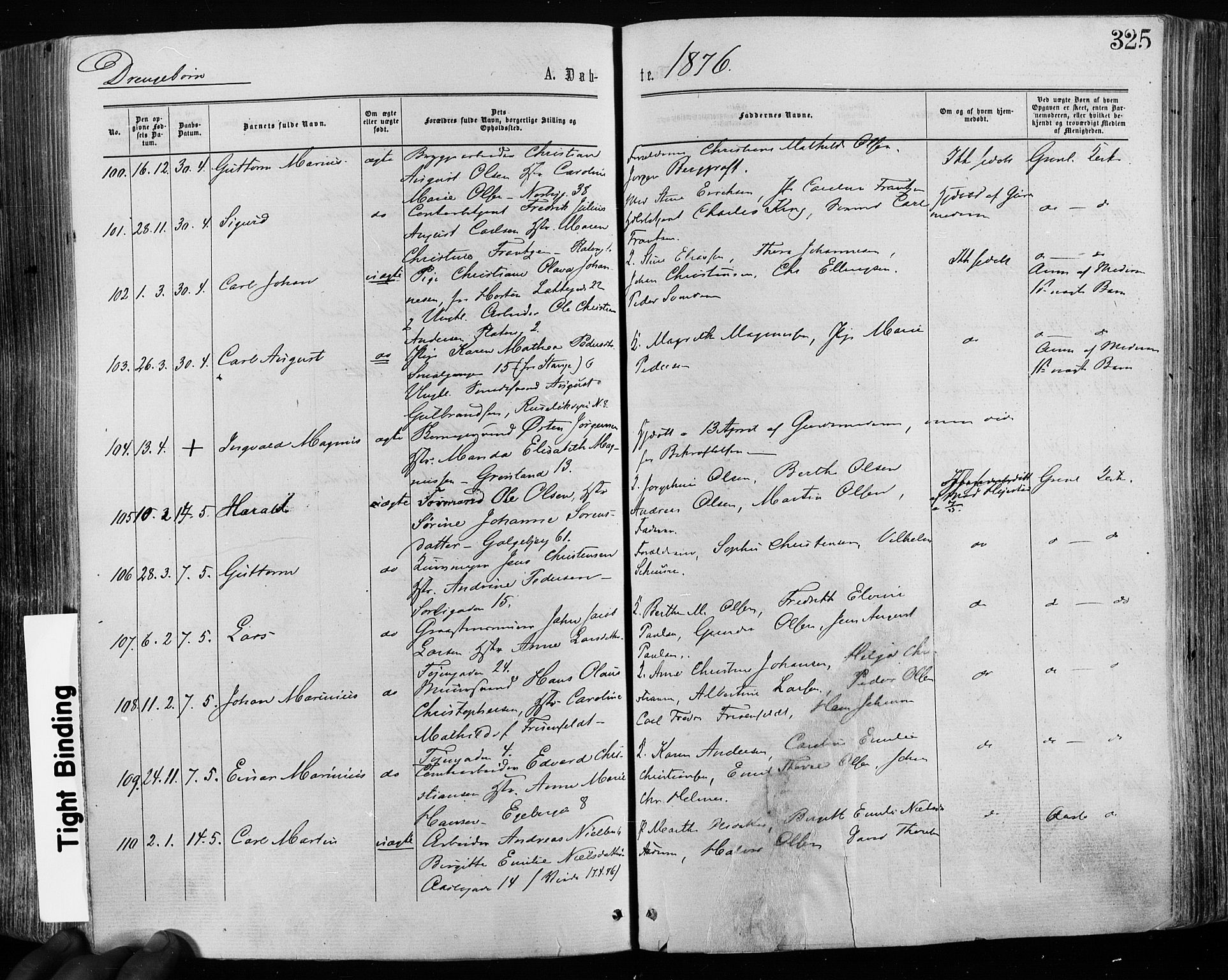 Grønland prestekontor Kirkebøker, SAO/A-10848/F/Fa/L0004: Parish register (official) no. 4, 1869-1880, p. 325