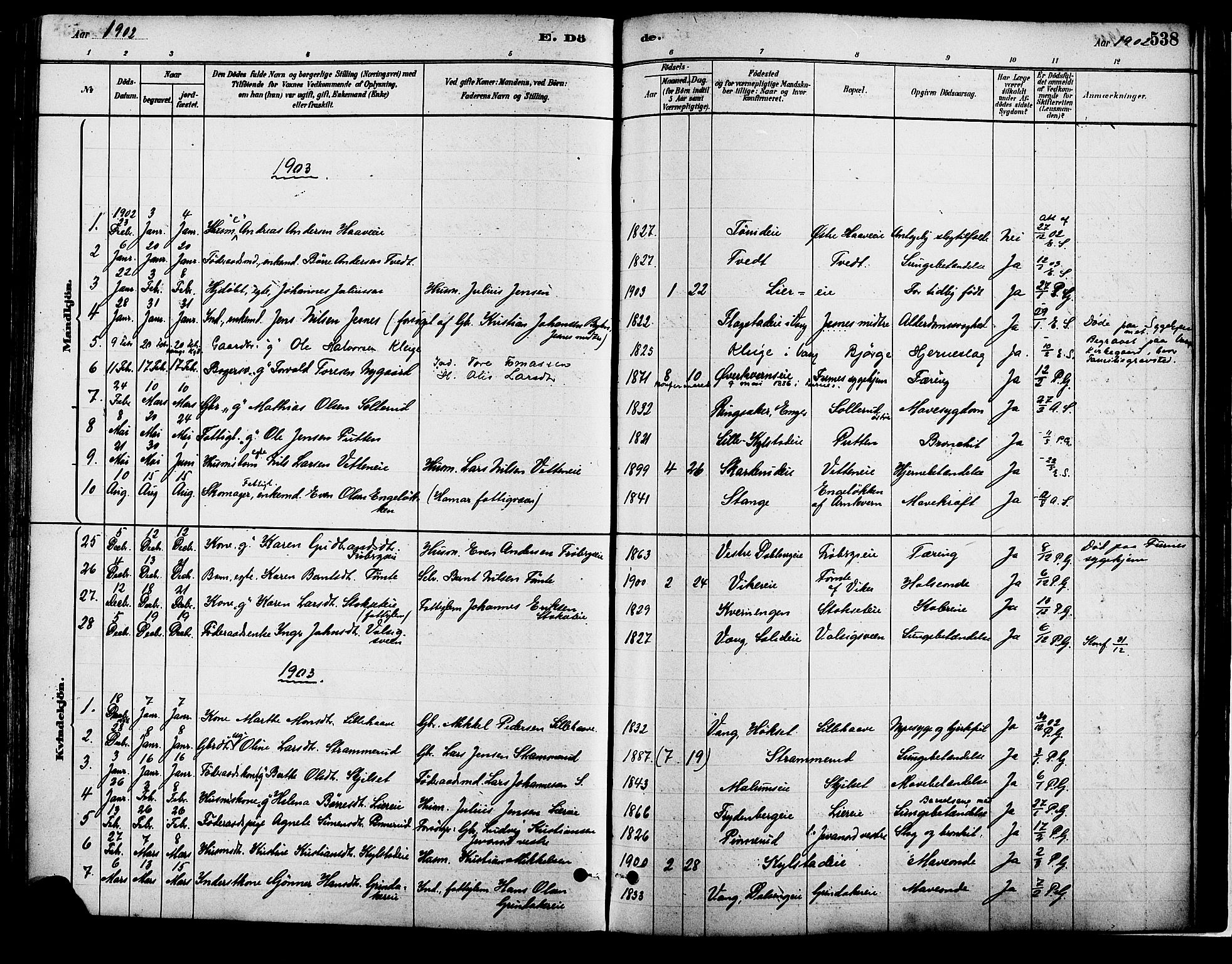 Vang prestekontor, Hedmark, SAH/PREST-008/H/Ha/Haa/L0018B: Parish register (official) no. 18B, 1880-1906, p. 538