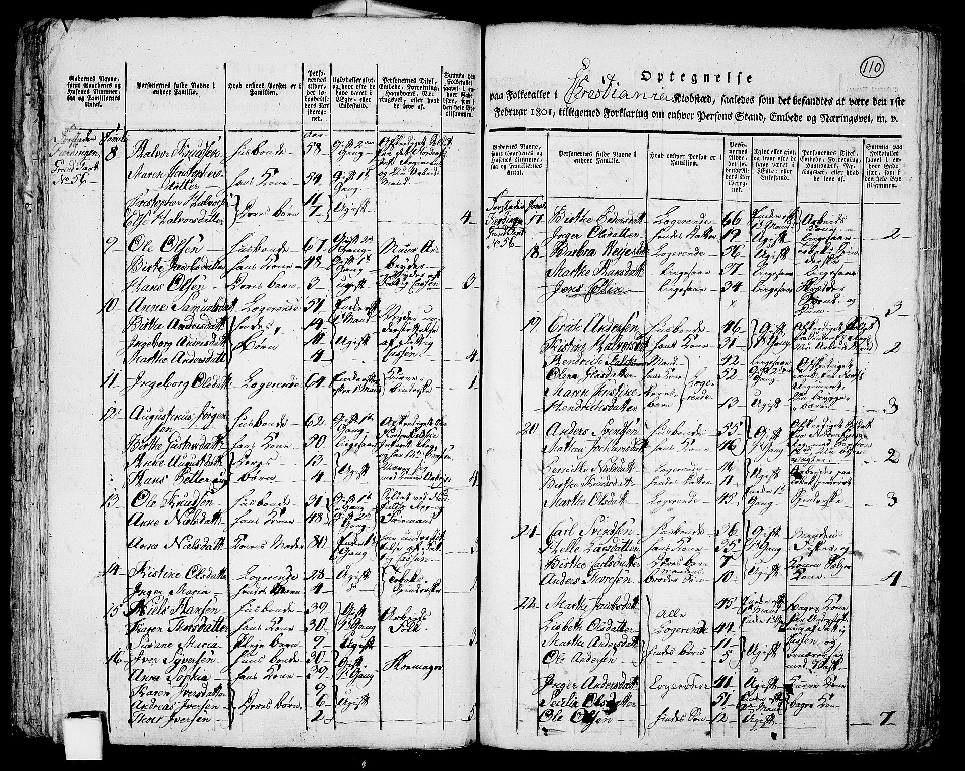 RA, 1801 census for 0301 Kristiania, 1801, p. 109b-110a